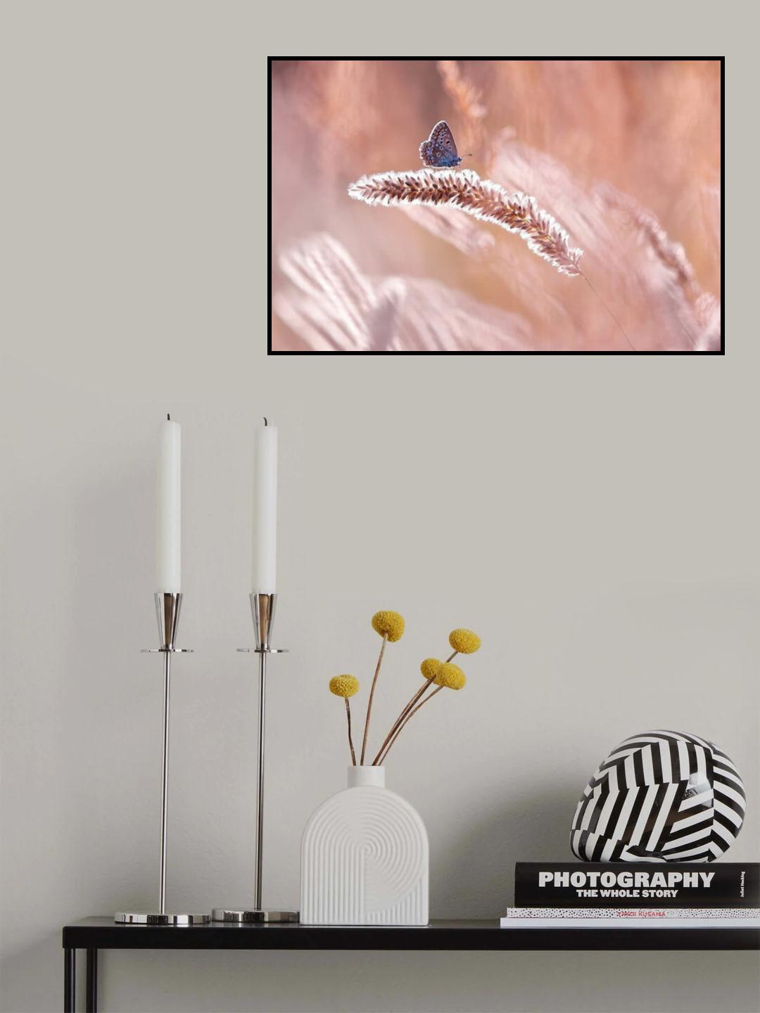 feel the field Poster och Canvastavla