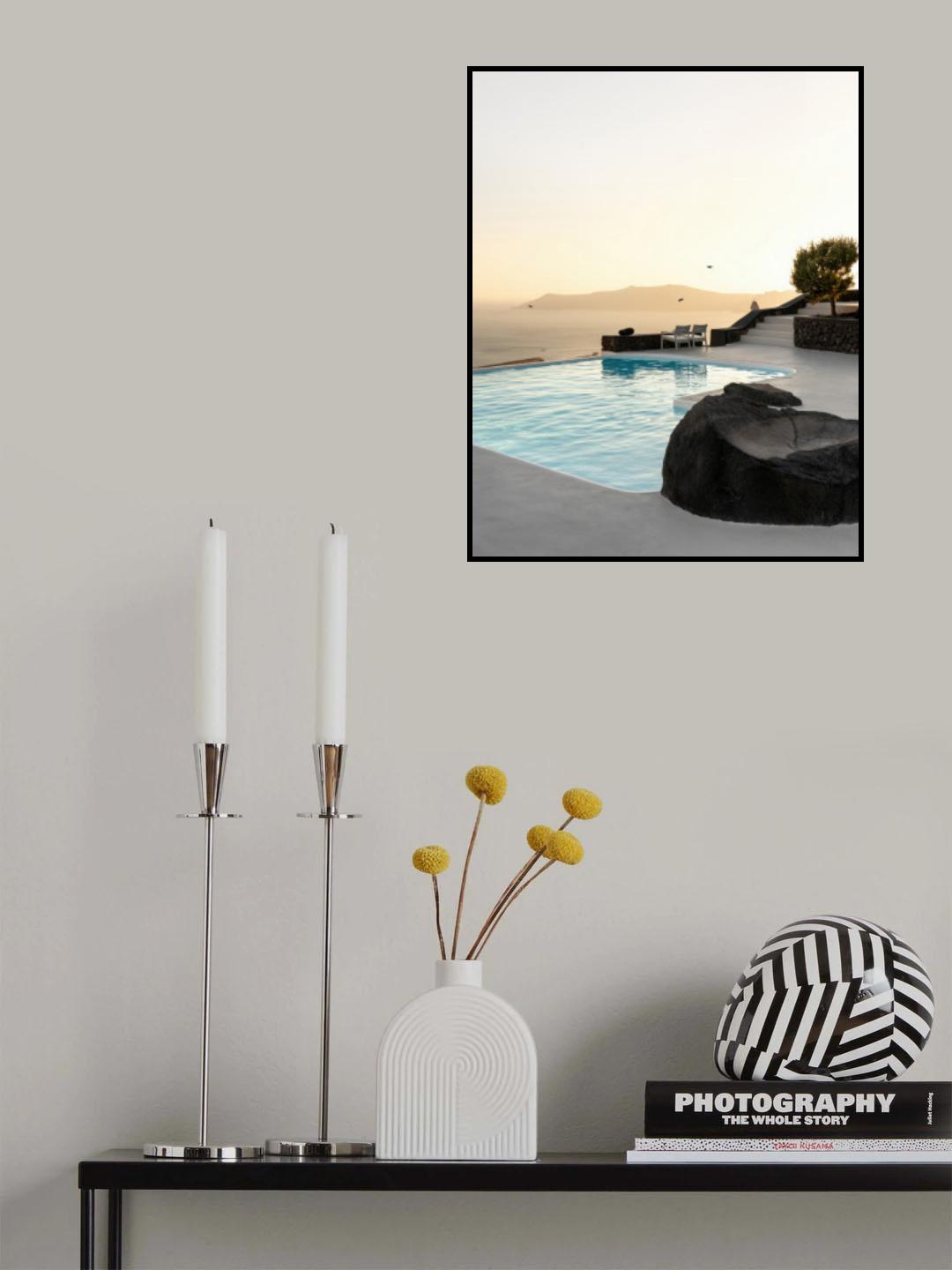 Birds Flying Over Swimming Pool Poster och Canvastavla