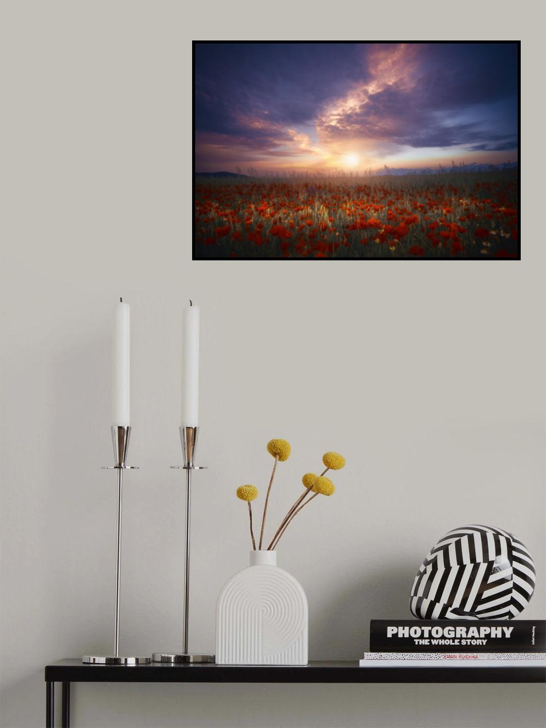 Between color and light 7R49962 Poster och Canvastavla