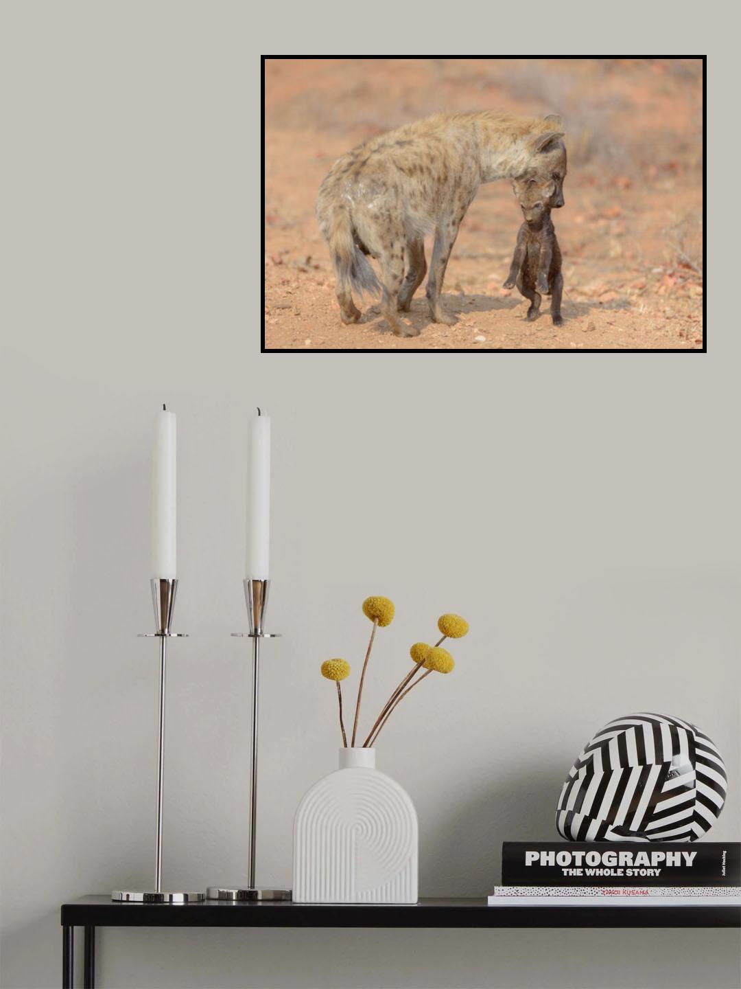 Mother Hyena carrying her Puppy Poster och Canvastavla