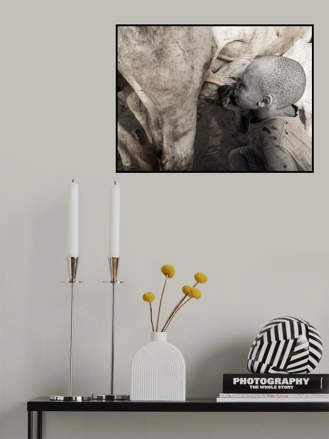 Shared feeding Poster och Canvastavla