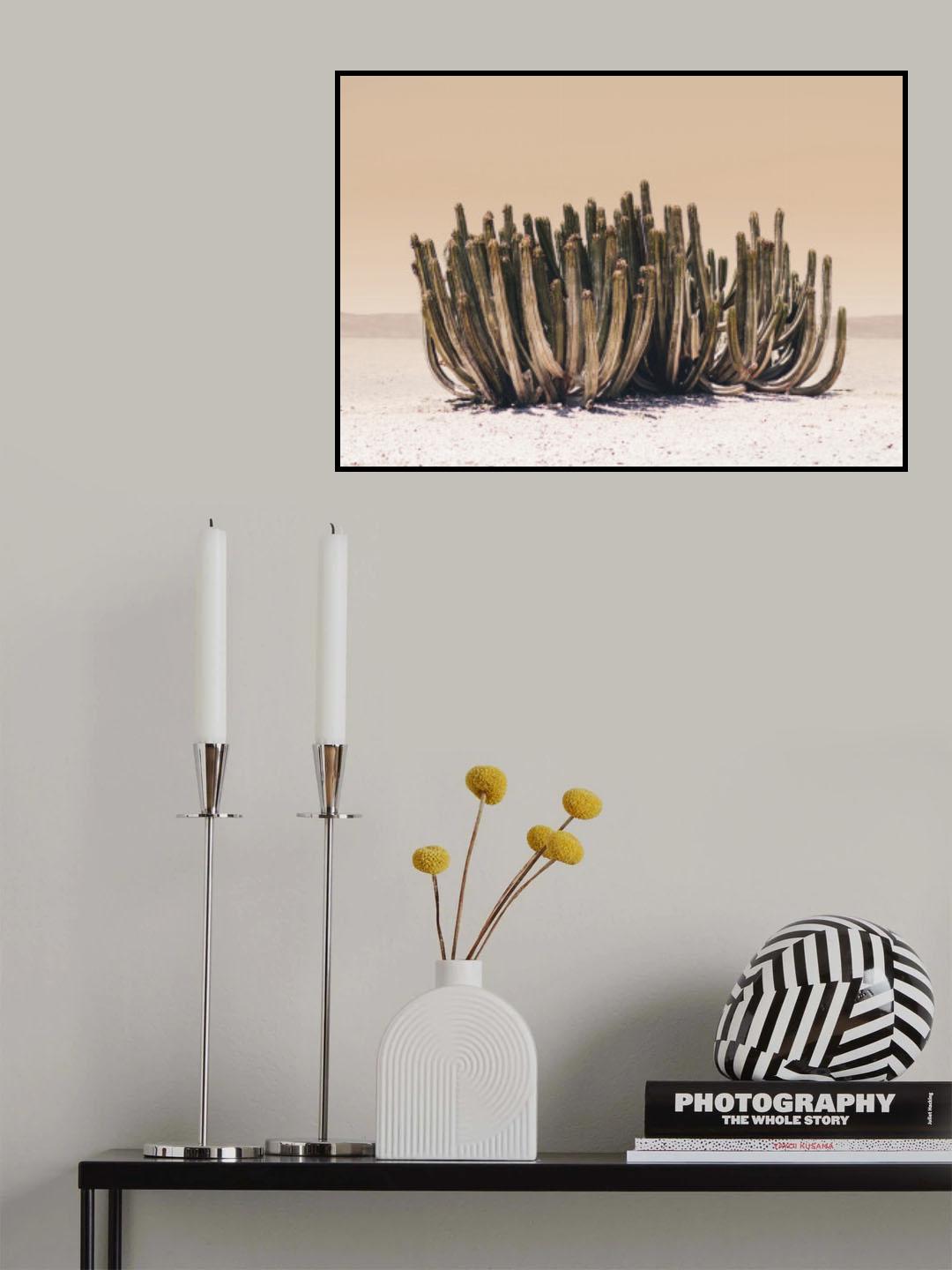 Peach Sky Cactus Poster och Canvastavla