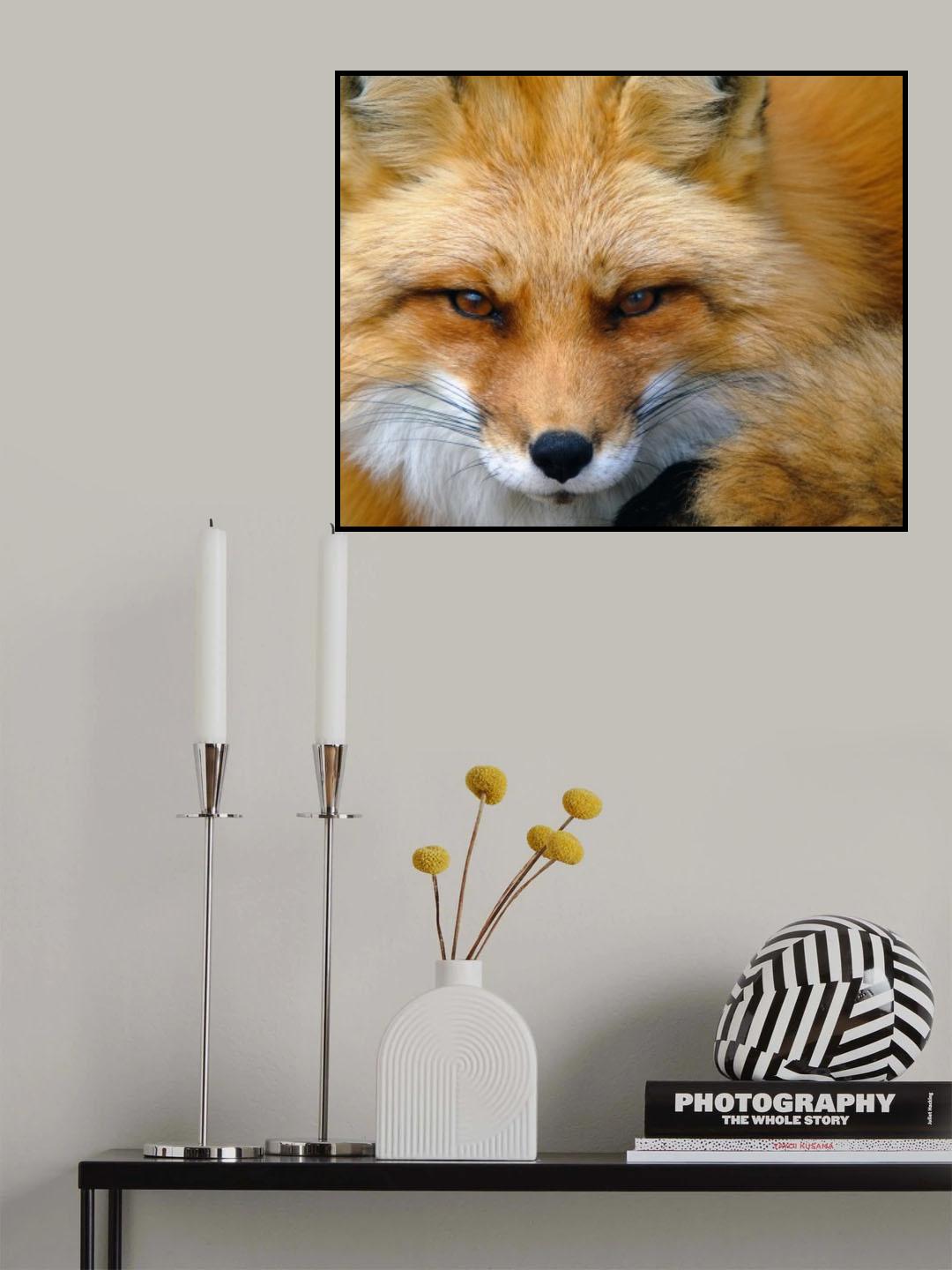 Foxy Lady Poster och Canvastavla