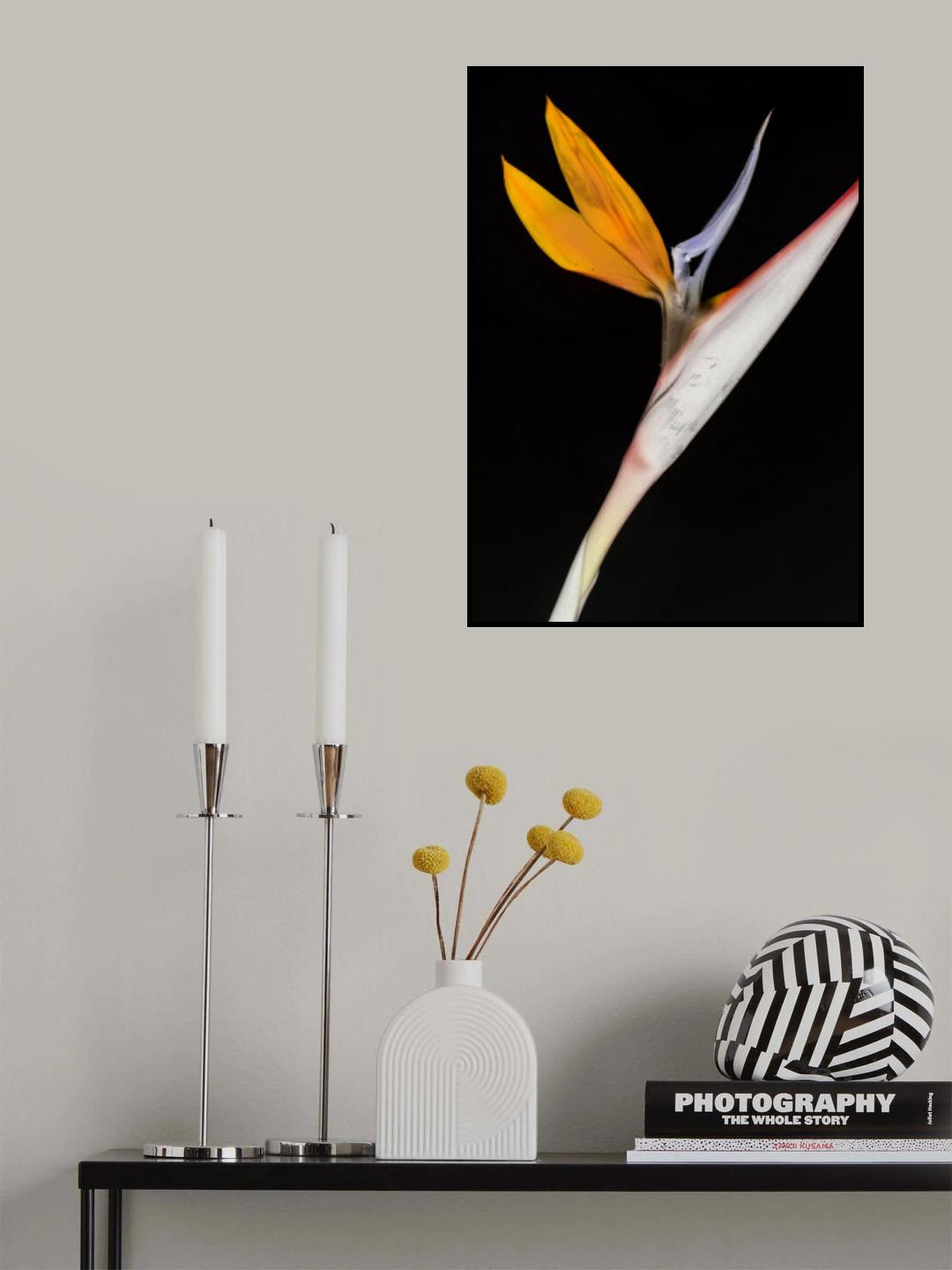 Bird of Paradise Poster och Canvastavla