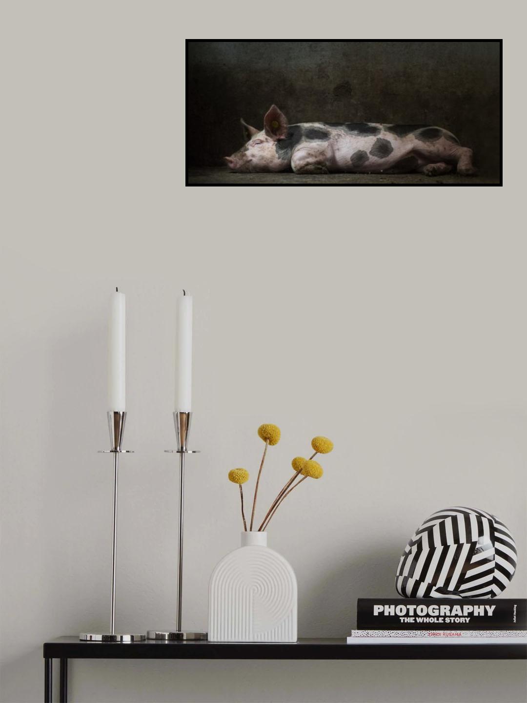 A pigs life..... Poster och Canvastavla