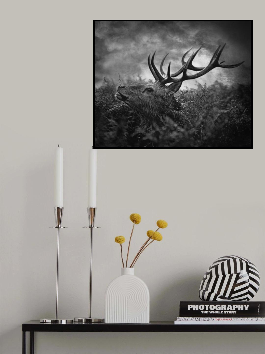 ^^^ Poster och Canvastavla