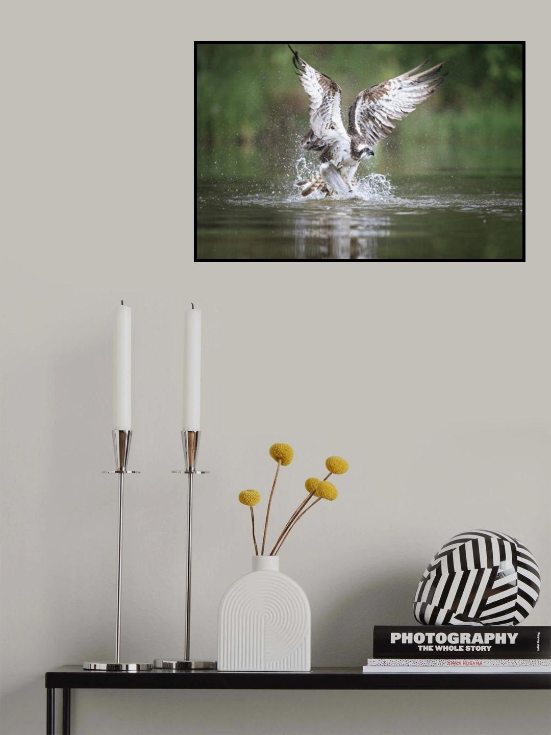 Caught you Poster och Canvastavla