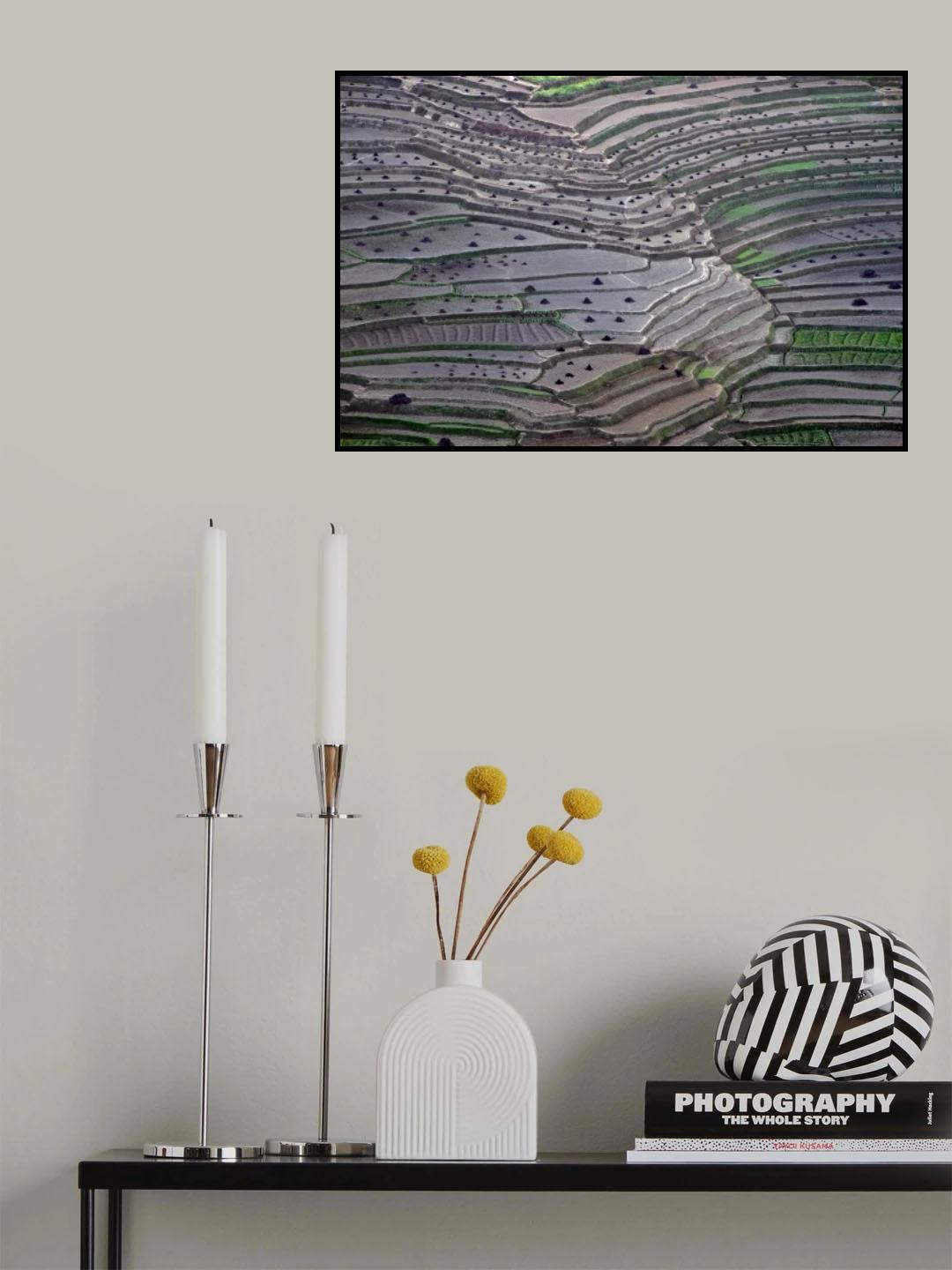 Terrace fields Poster och Canvastavla