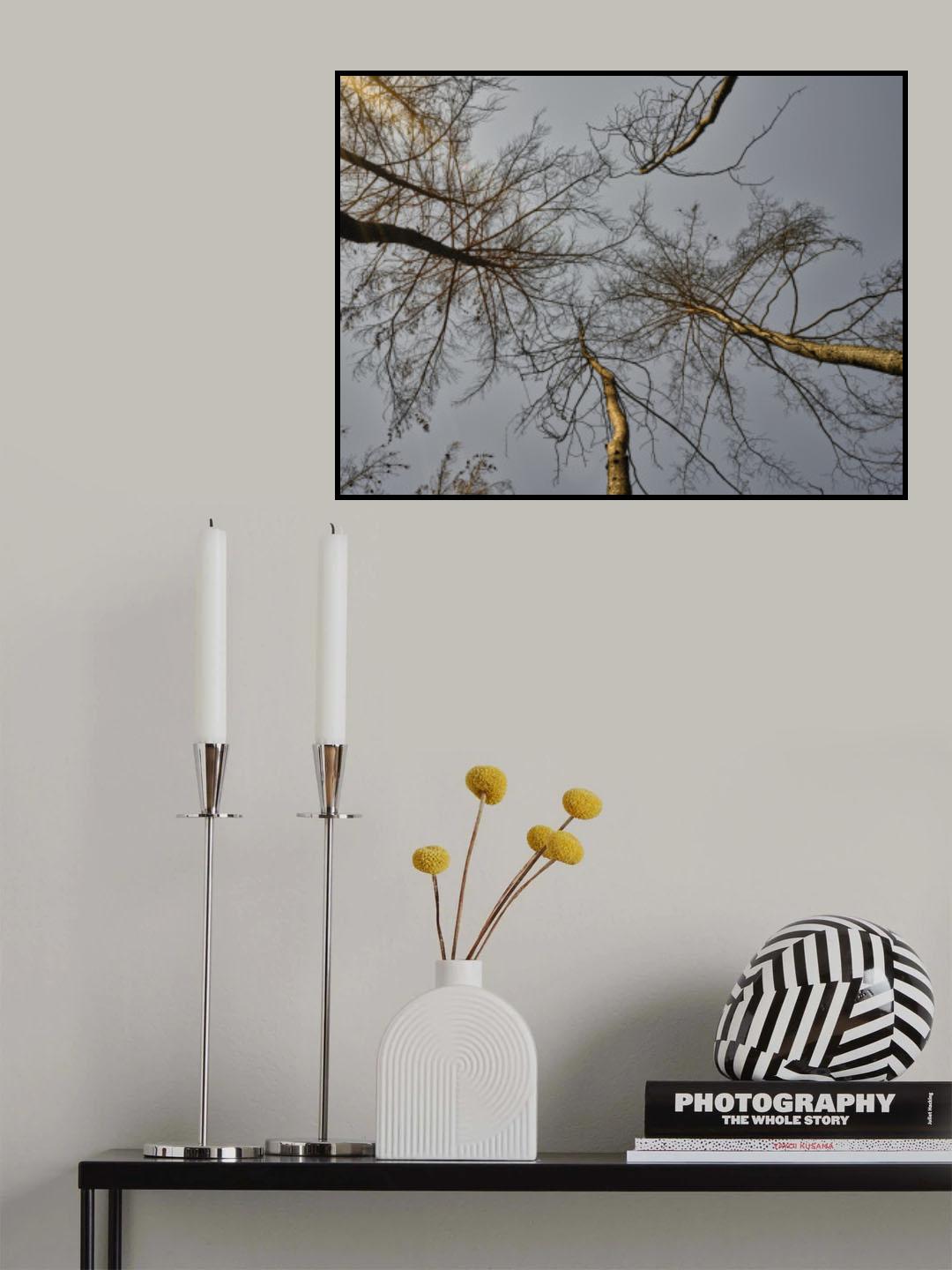 burnt trees in the forest Poster och Canvastavla