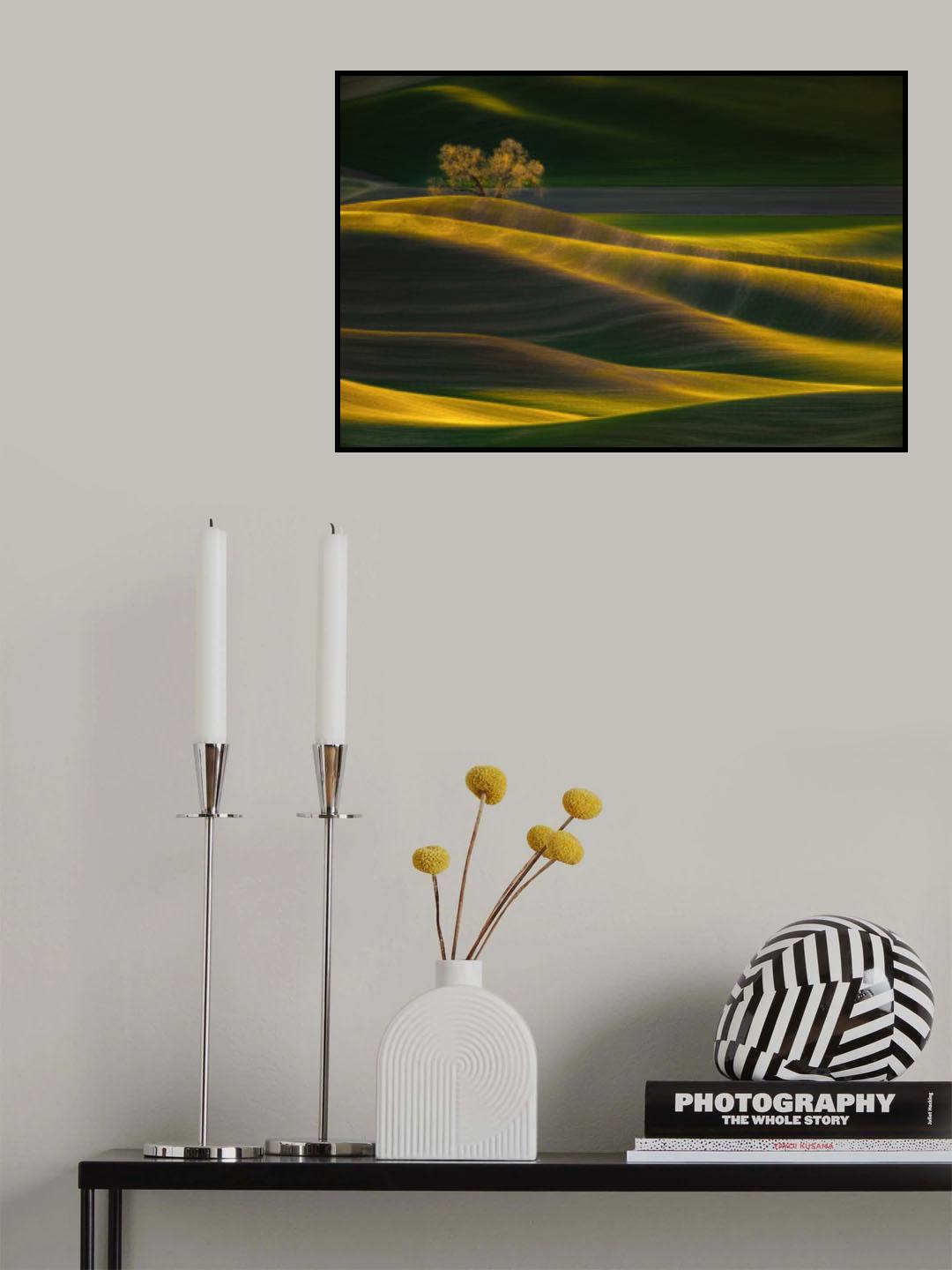 Sunset Tree Poster och Canvastavla
