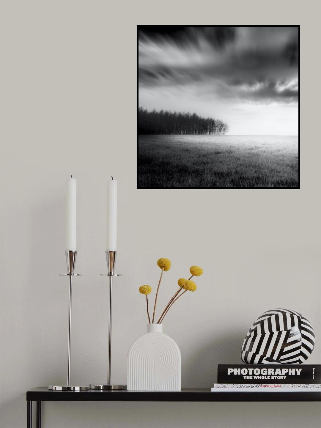 Futaie Poster och Canvastavla