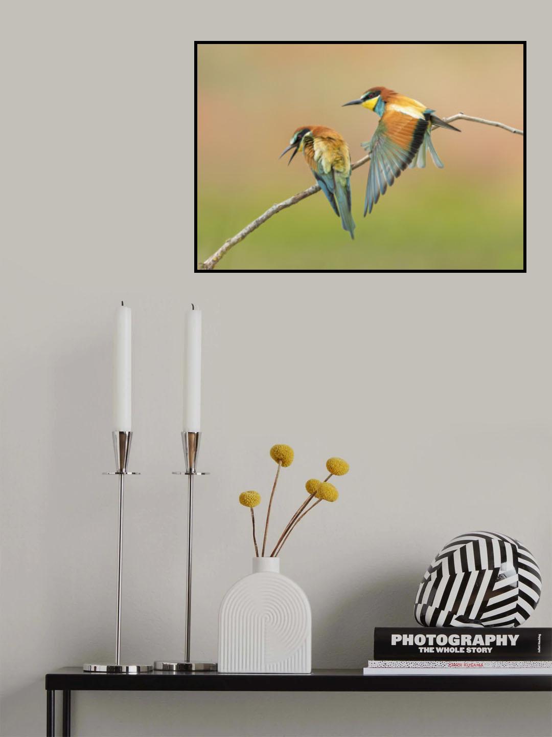 bee eater Poster och Canvastavla