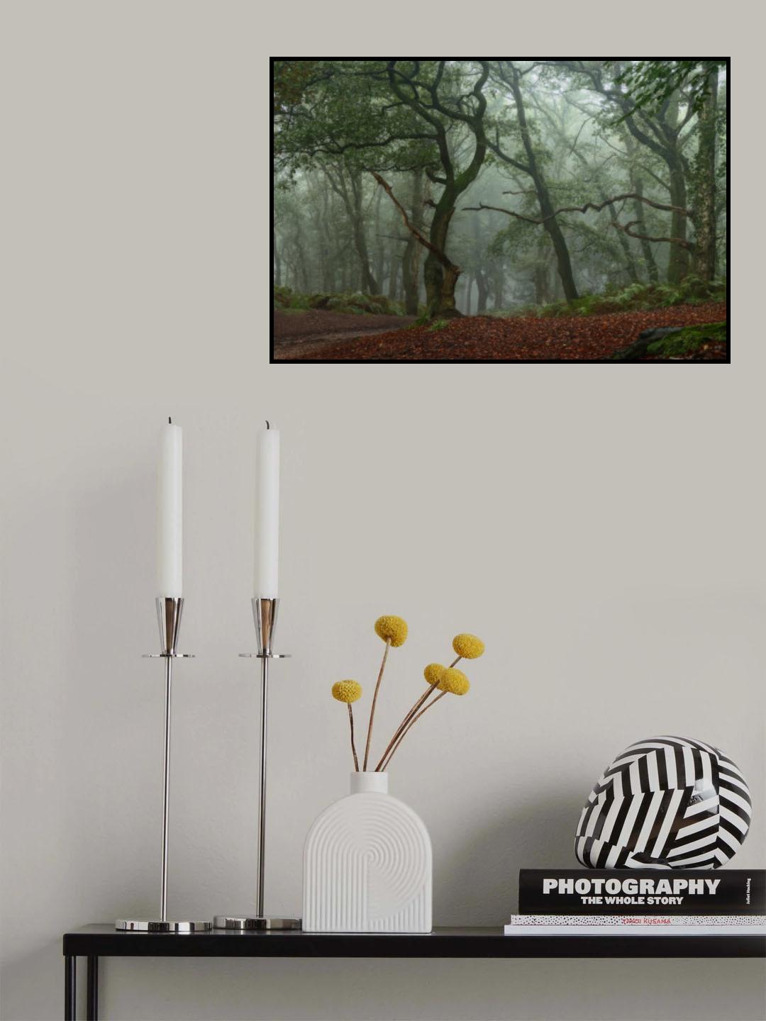 twisted branches Poster och Canvastavla