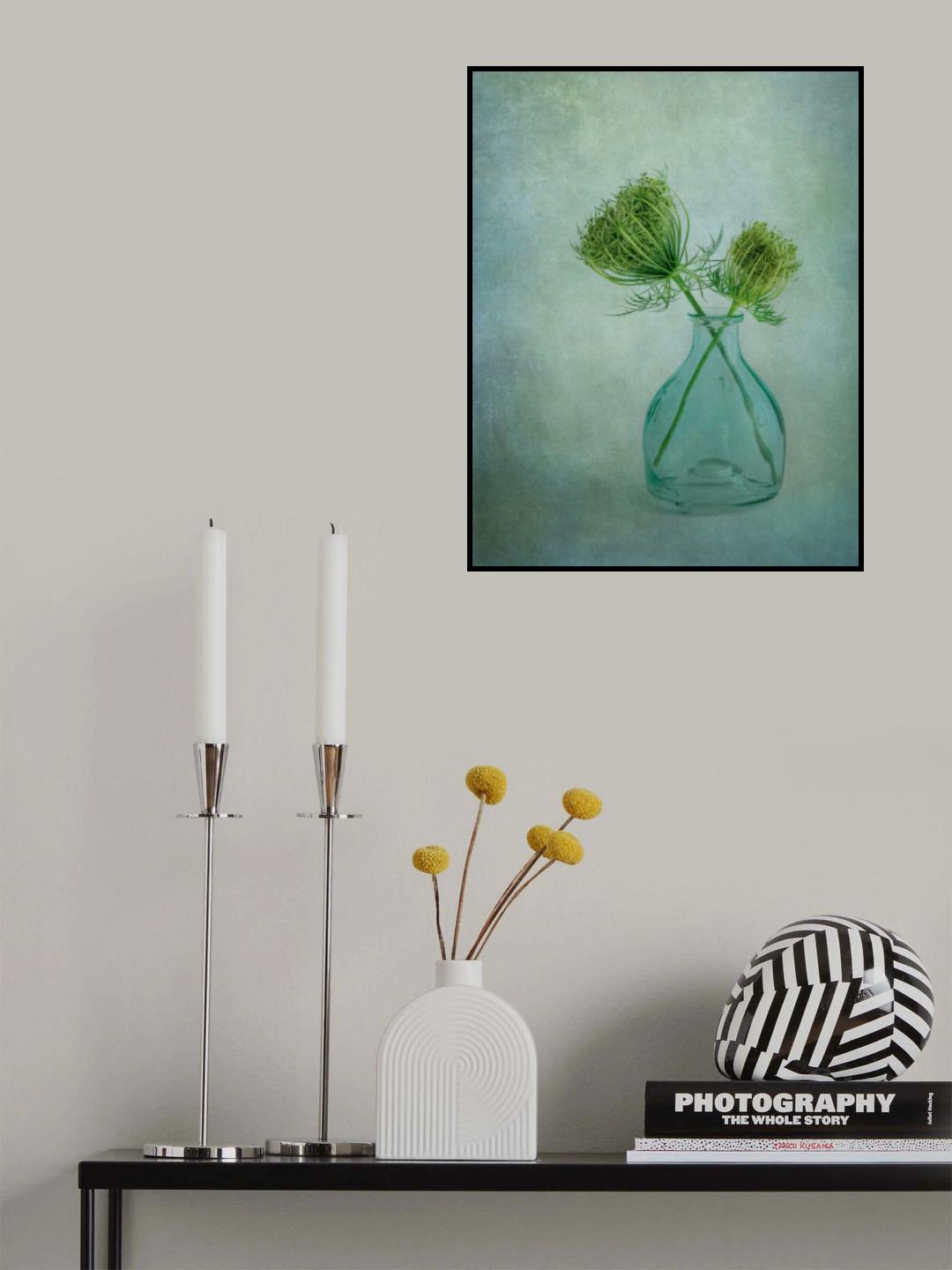 Queen Anne's Lace 2 Poster och Canvastavla