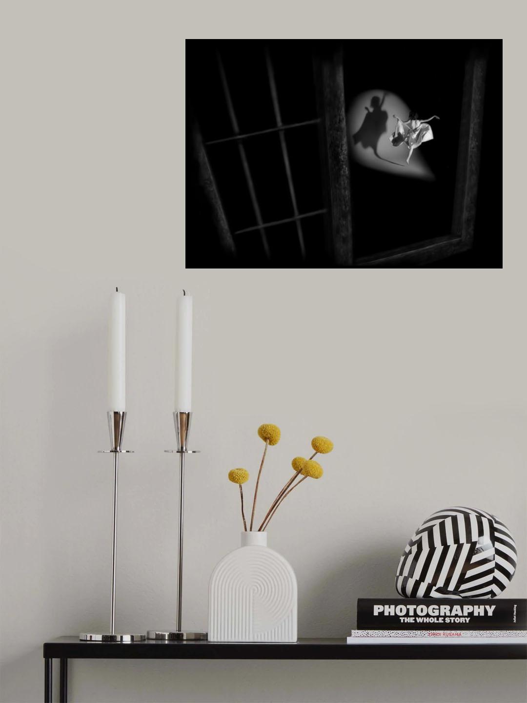 see my shadow Poster och Canvastavla