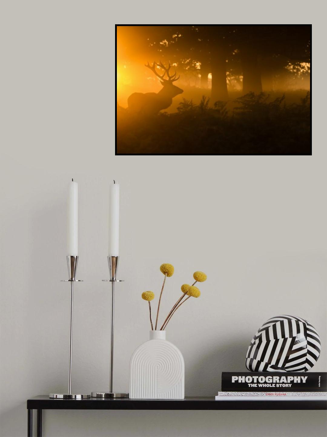 Stag in the mist Poster och Canvastavla