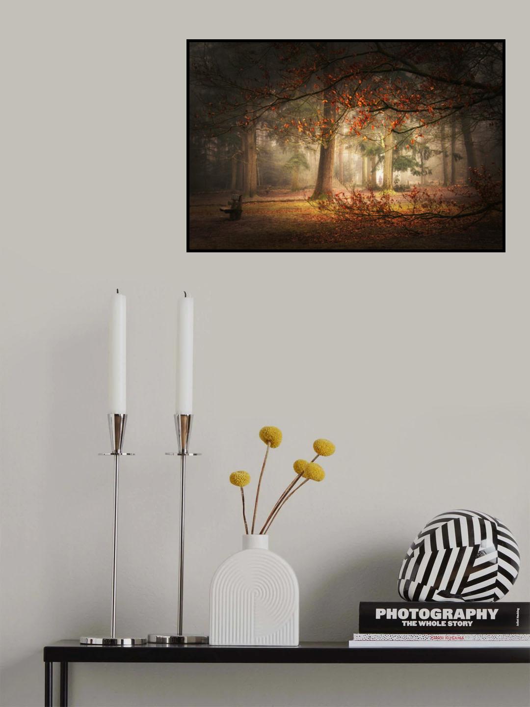 Dream forest Poster och Canvastavla