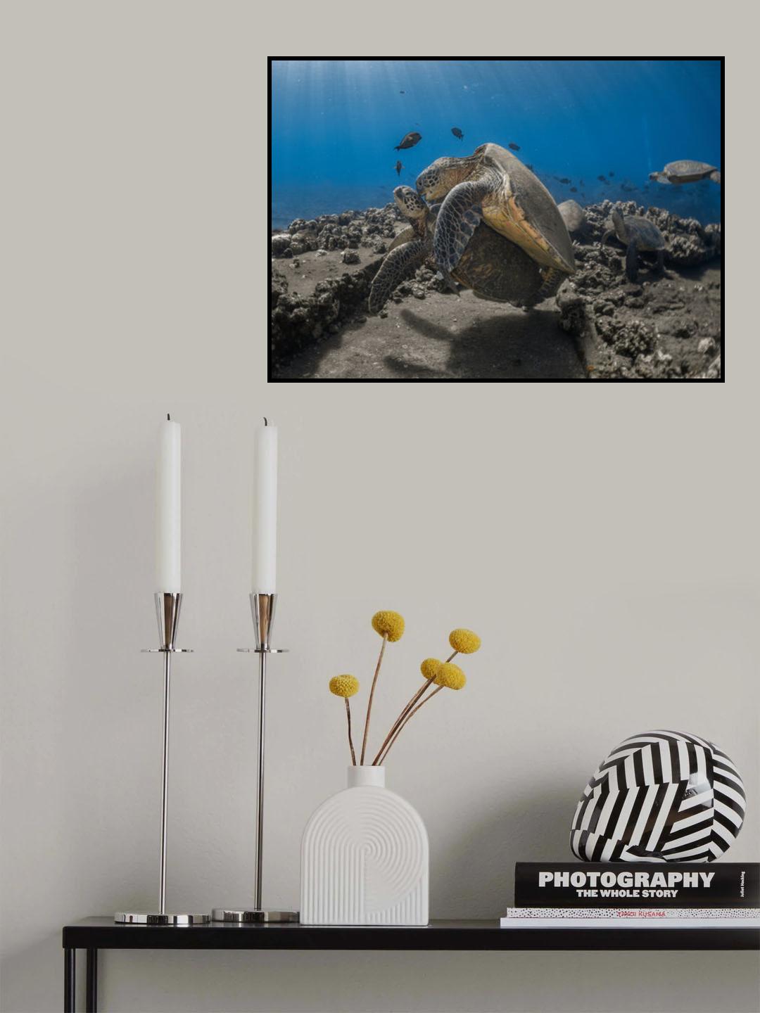 Whisper Poster och Canvastavla