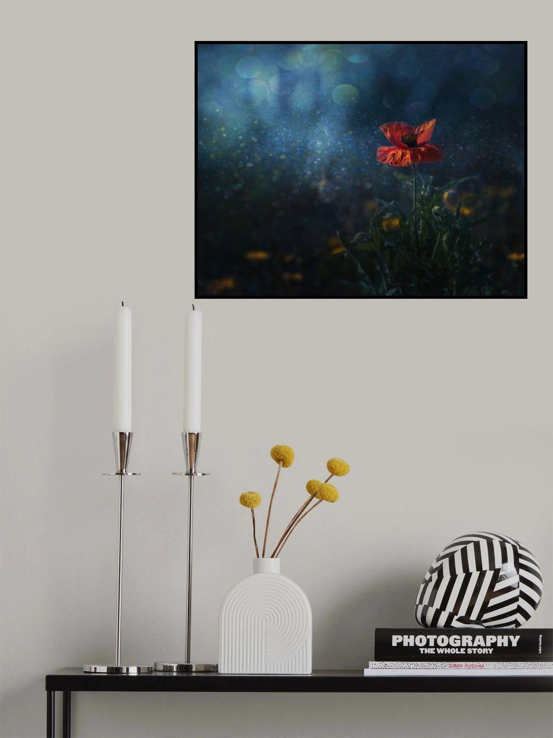 Poppy in second spring Poster och Canvastavla