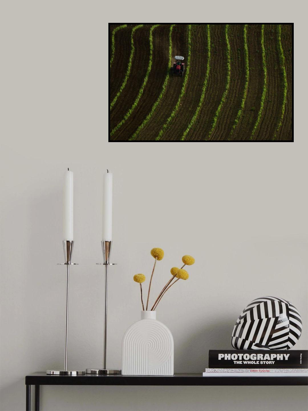 Vineyard Poster och Canvastavla
