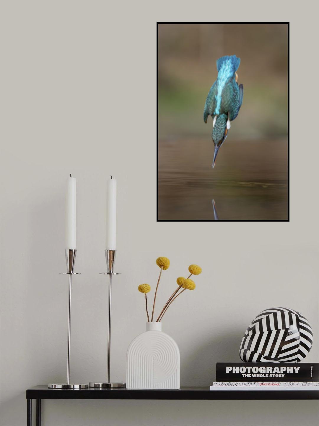 The Dive Poster och Canvastavla