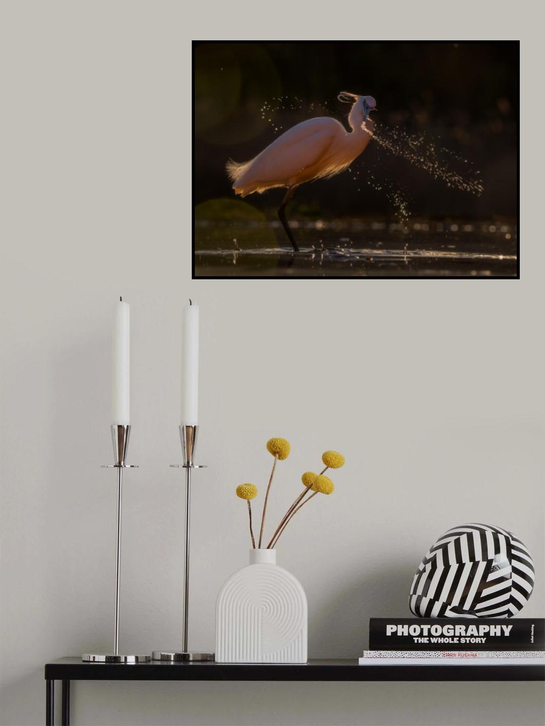 Splashing water Poster och Canvastavla