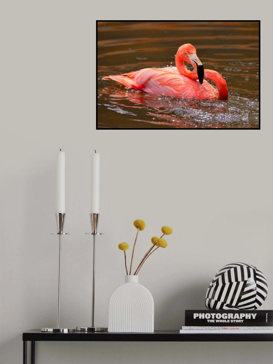 Play with Water Poster och Canvastavla
