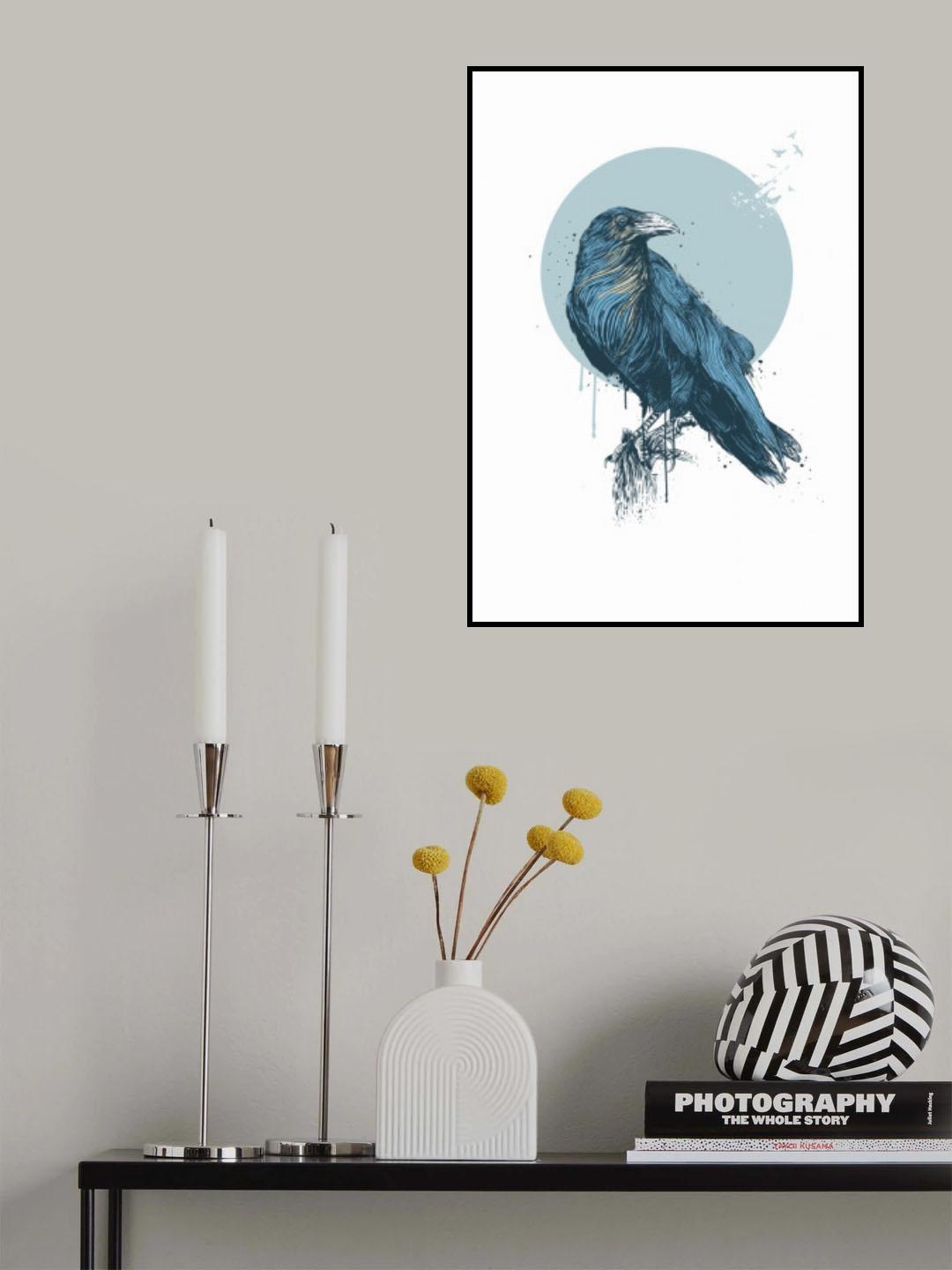 Blue crow Poster och Canvastavla