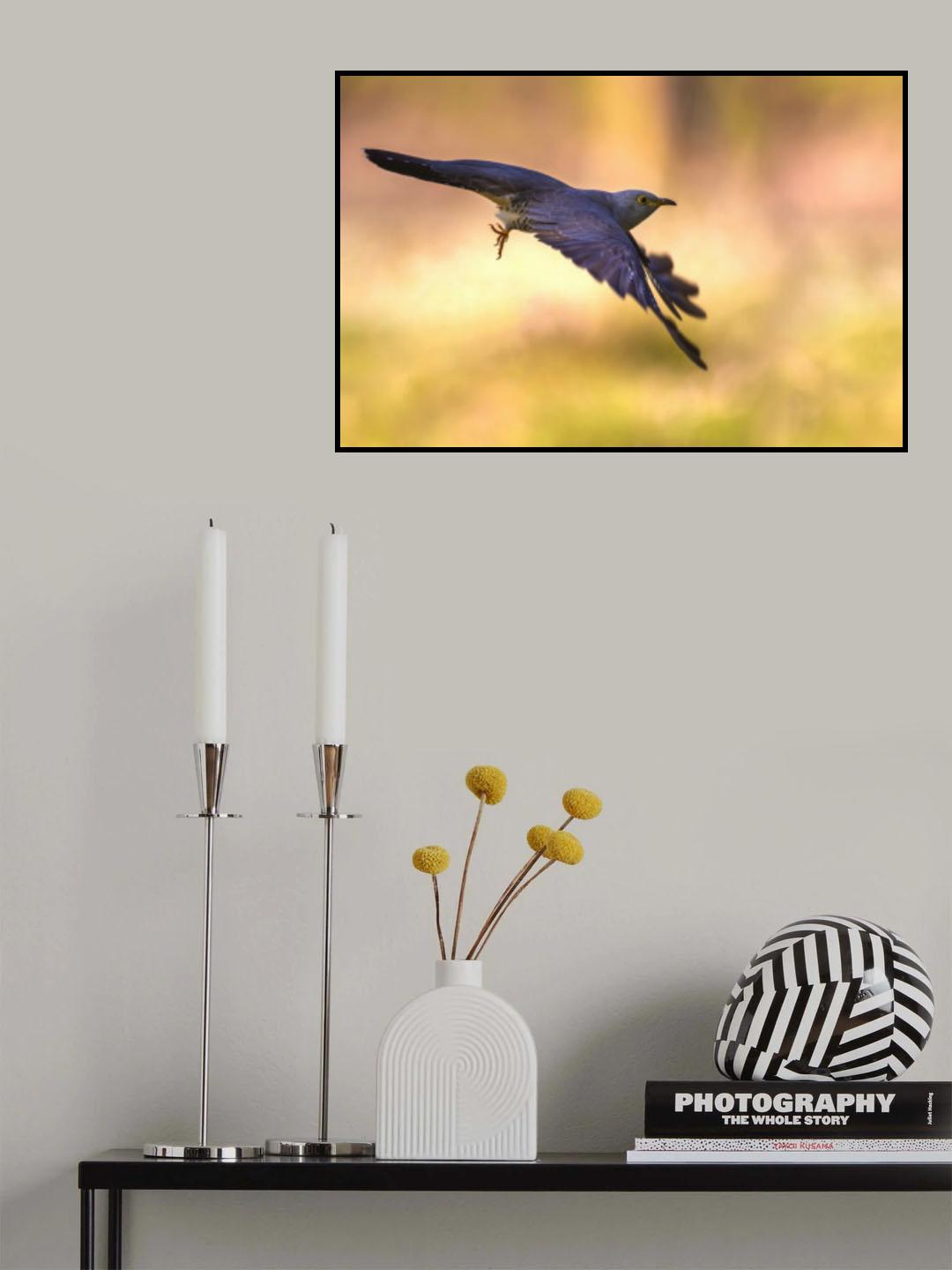 Flying at dawn Poster och Canvastavla