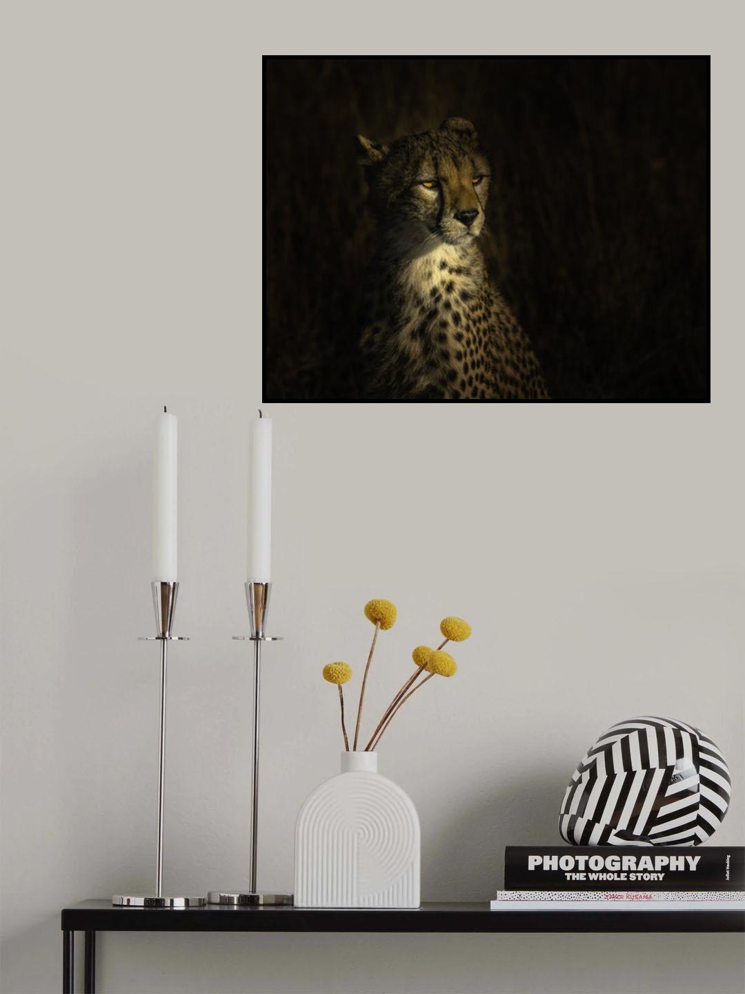 The portrait of a cheetah Poster och Canvastavla