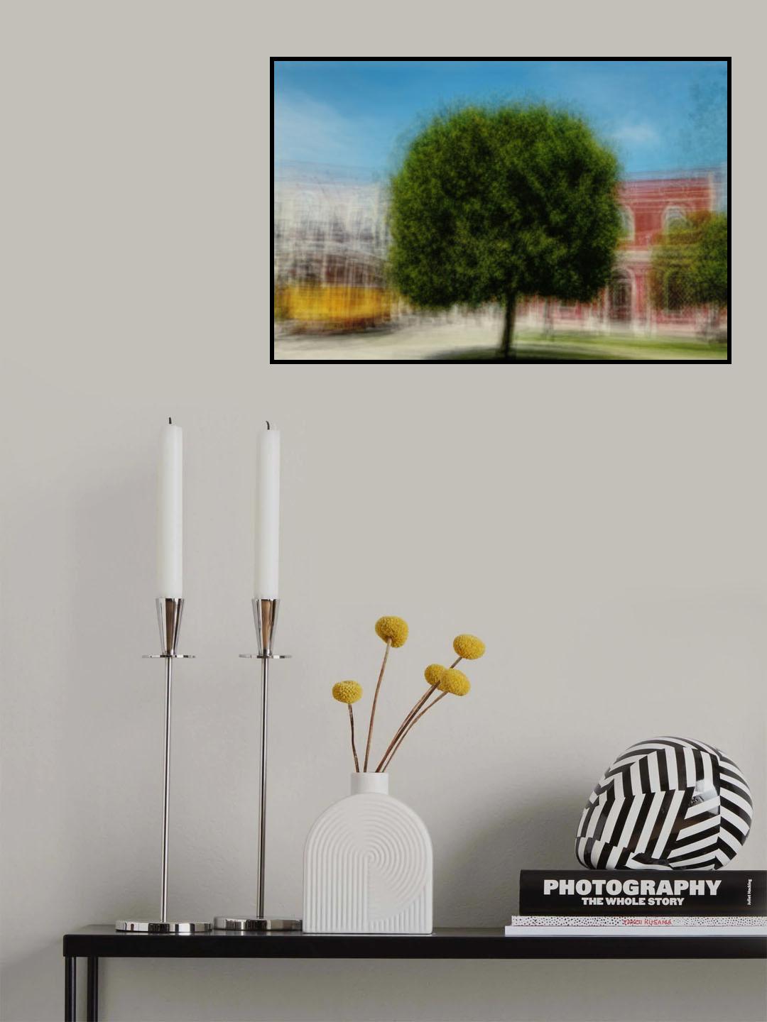 Tree in Portugal Poster och Canvastavla