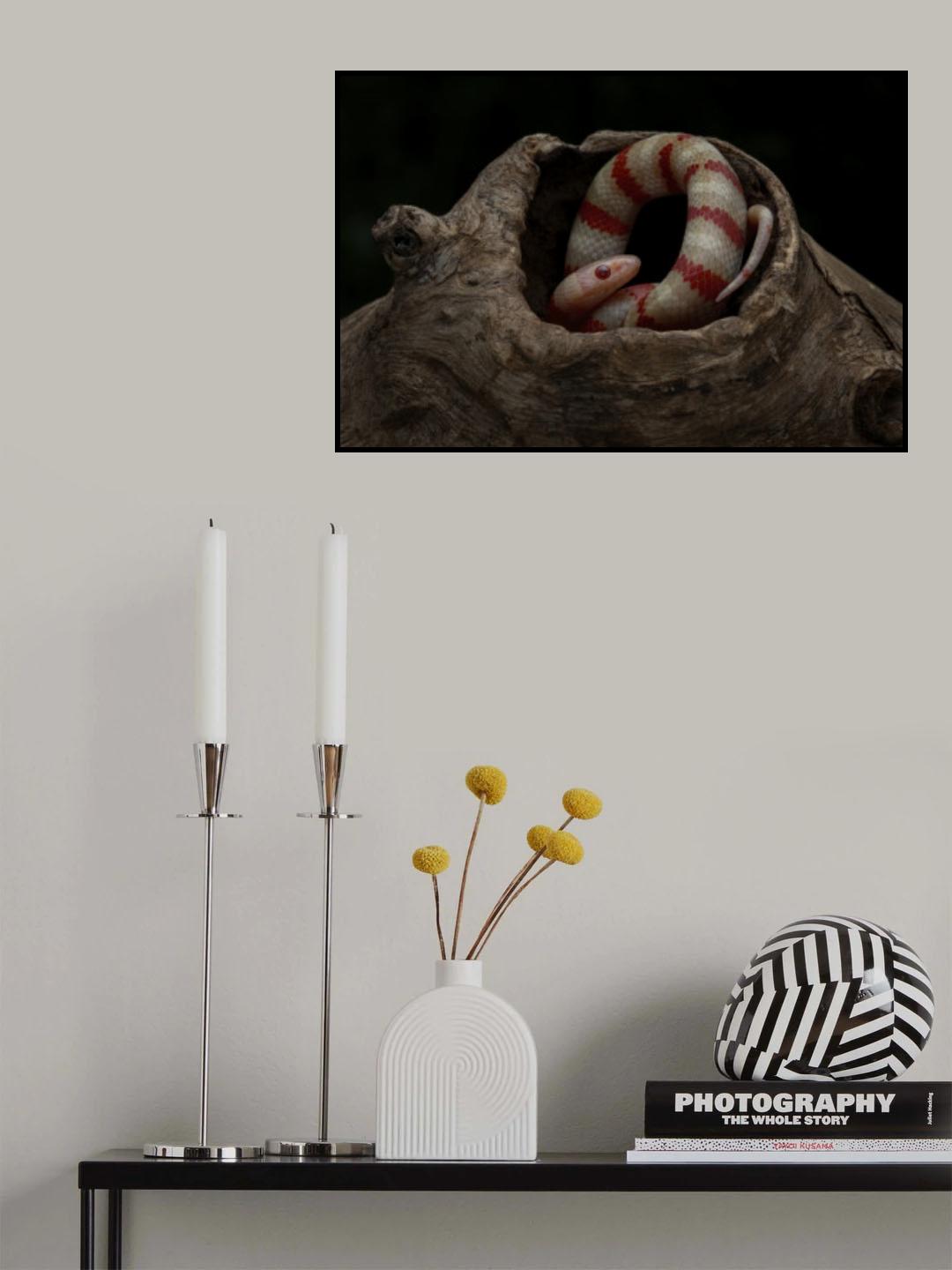 Resting Poster och Canvastavla