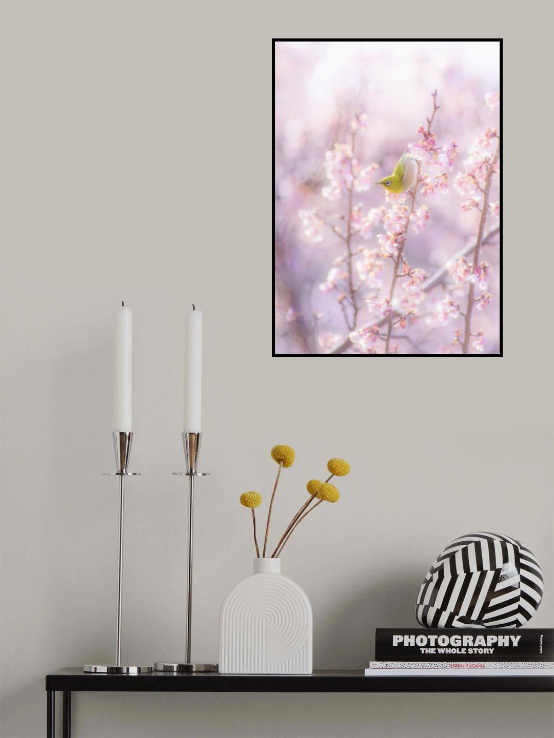 Zosterops japonicus Poster och Canvastavla