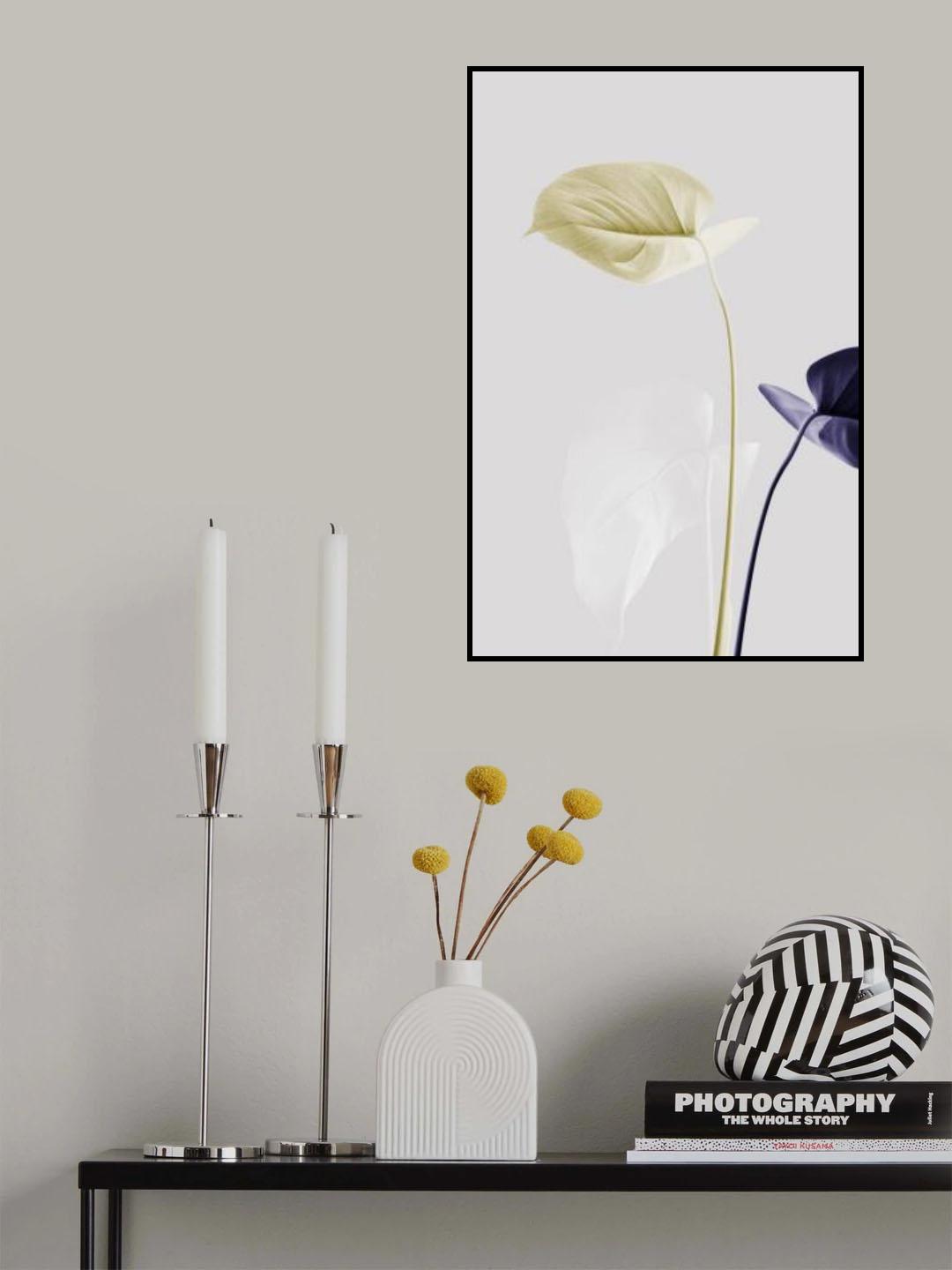 Monstera Creative 23 Poster och Canvastavla