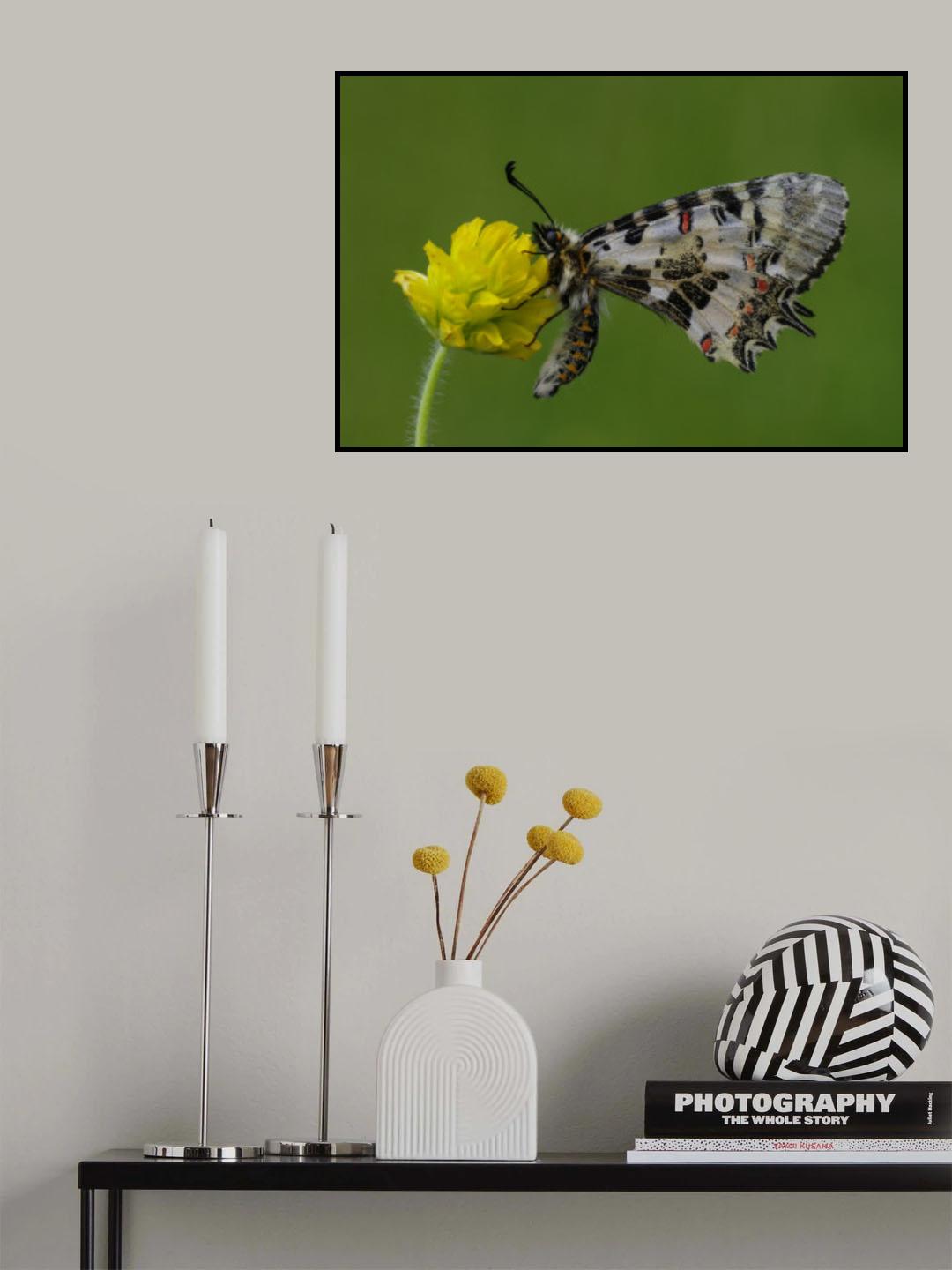 Beauty Poster och Canvastavla