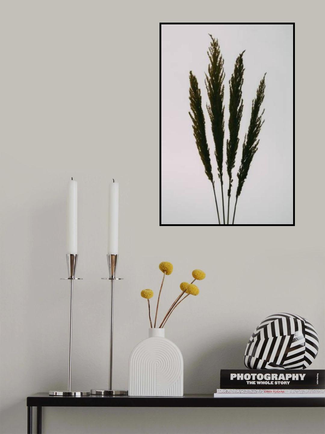 Dried Grass Poster och Canvastavla