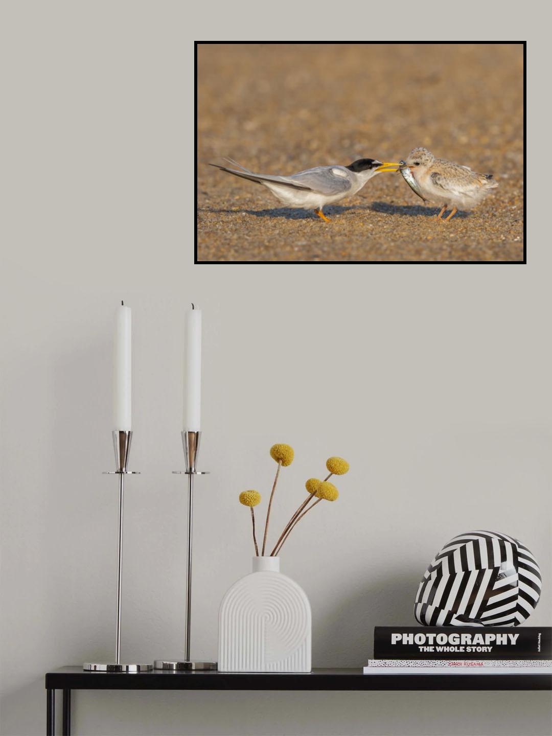 Feeding Poster och Canvastavla