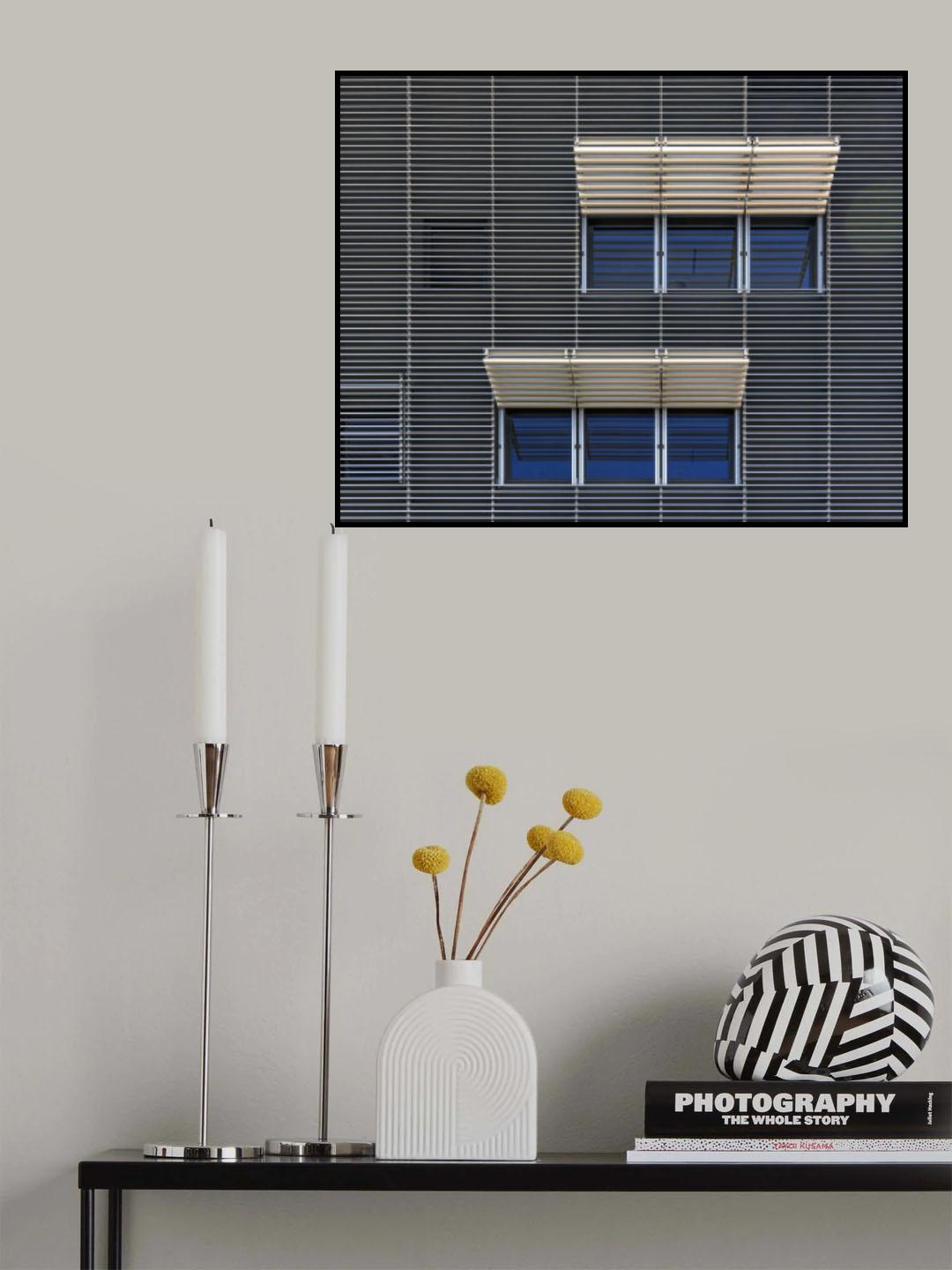 Twins Poster och Canvastavla