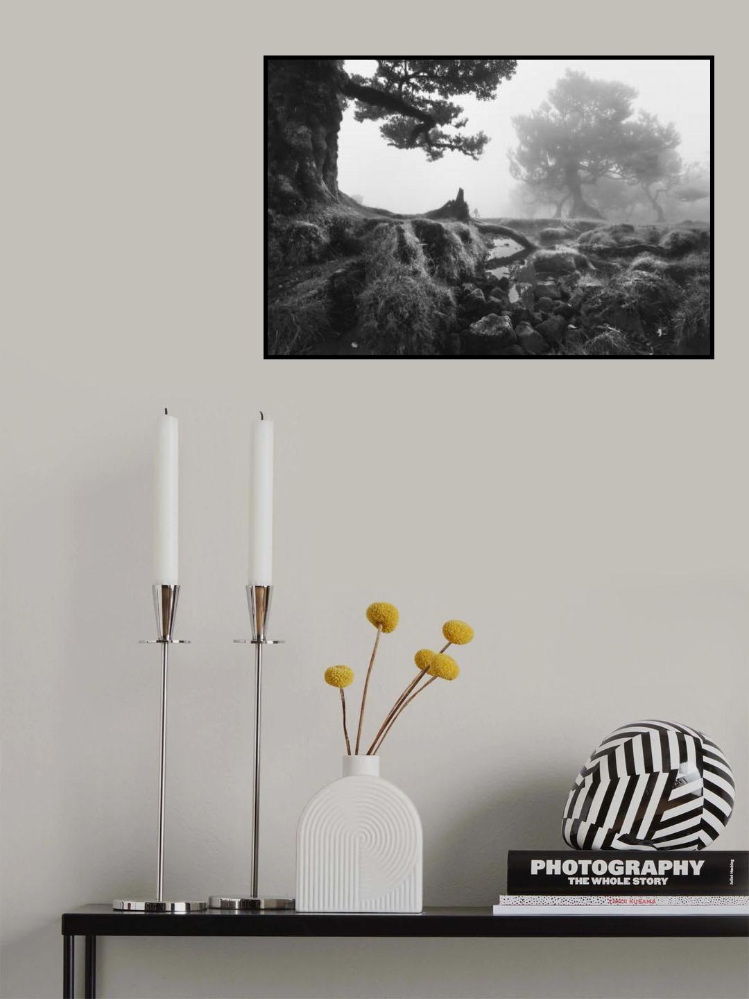 Ancient times Poster och Canvastavla