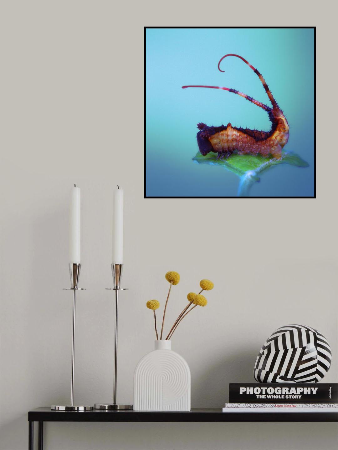 Tail threads Poster och Canvastavla