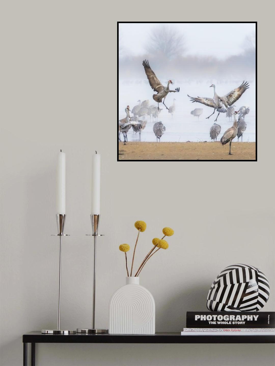 Morning Dance Poster och Canvastavla