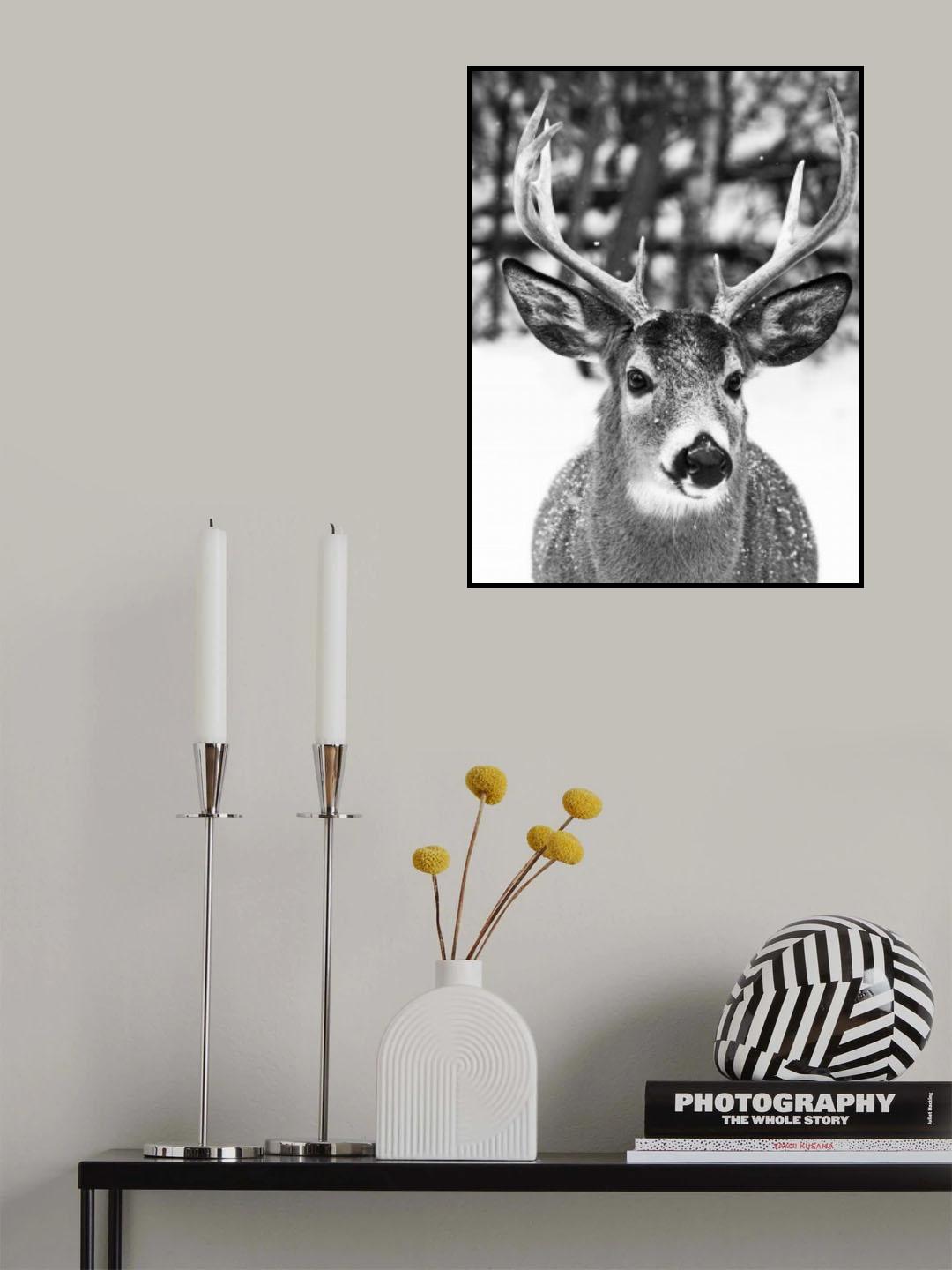 Winter Deer Poster och Canvastavla