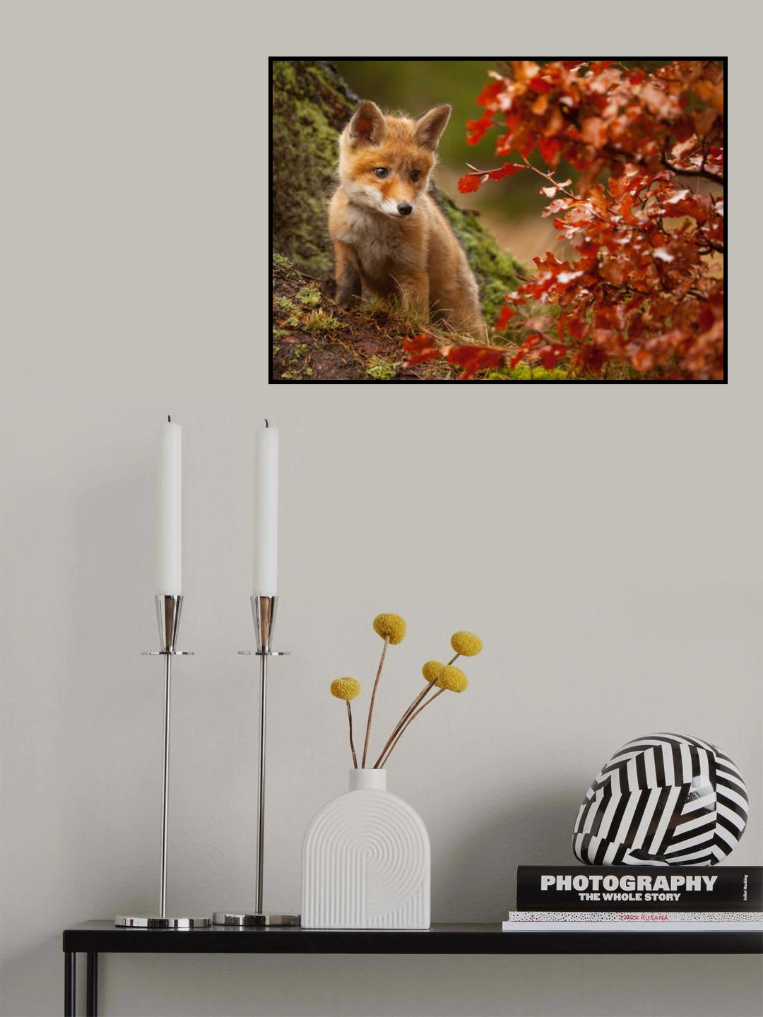 Fox Poster och Canvastavla