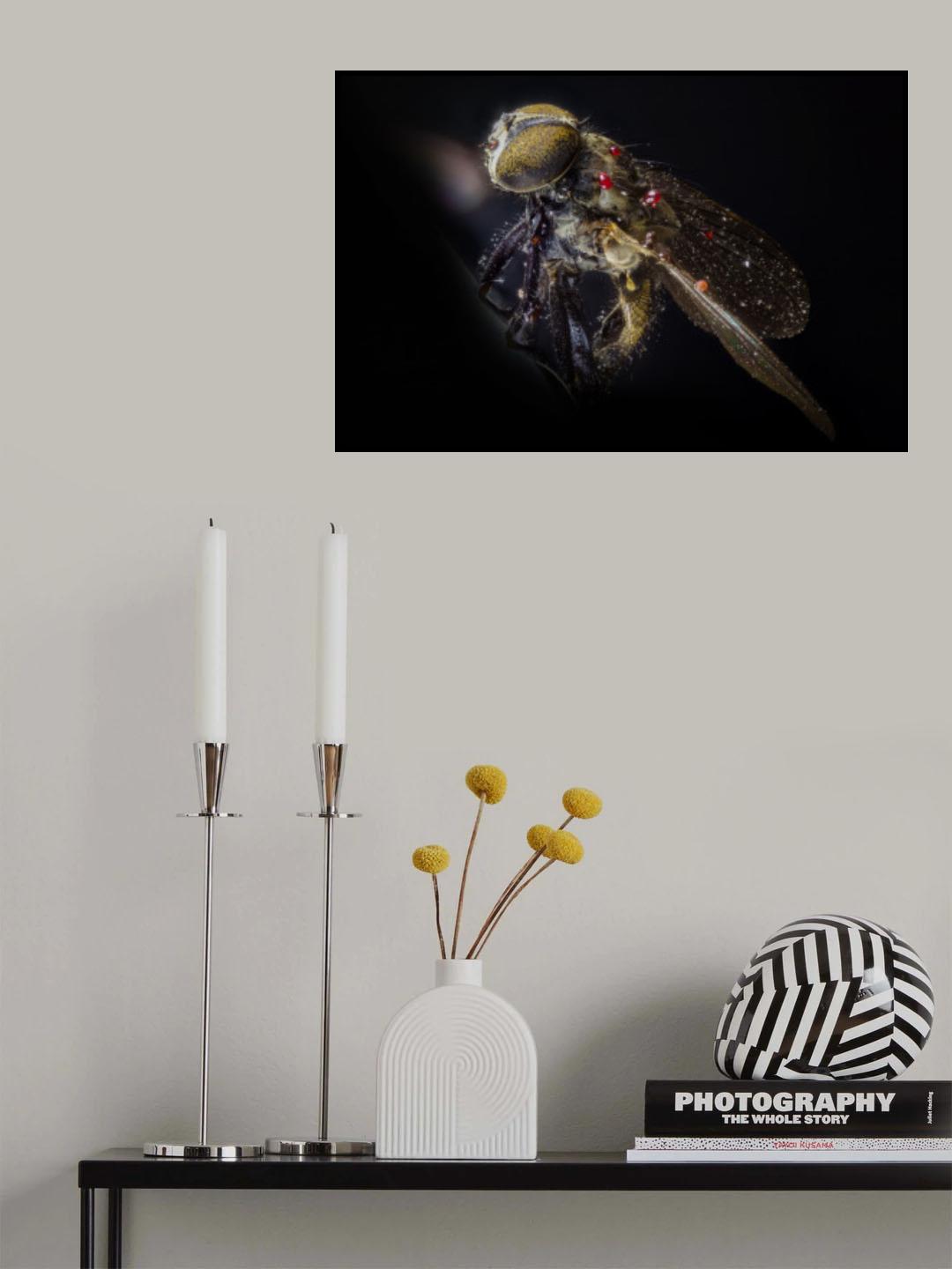 dead fly with fungus II Poster och Canvastavla