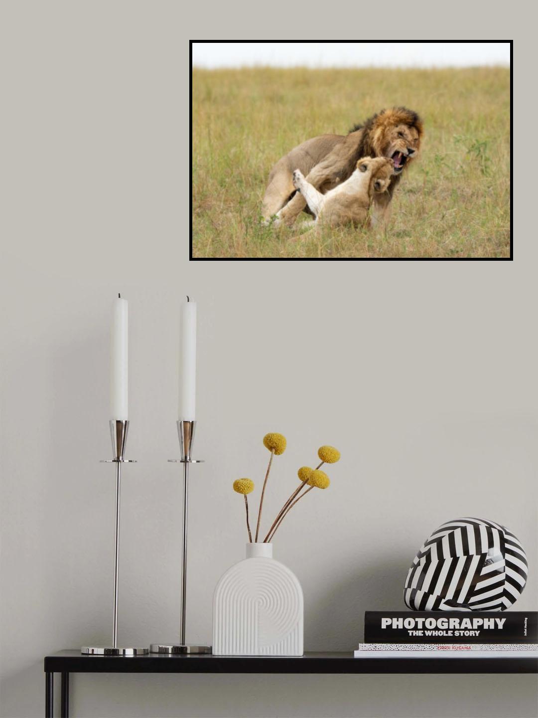 Mating pair Poster och Canvastavla