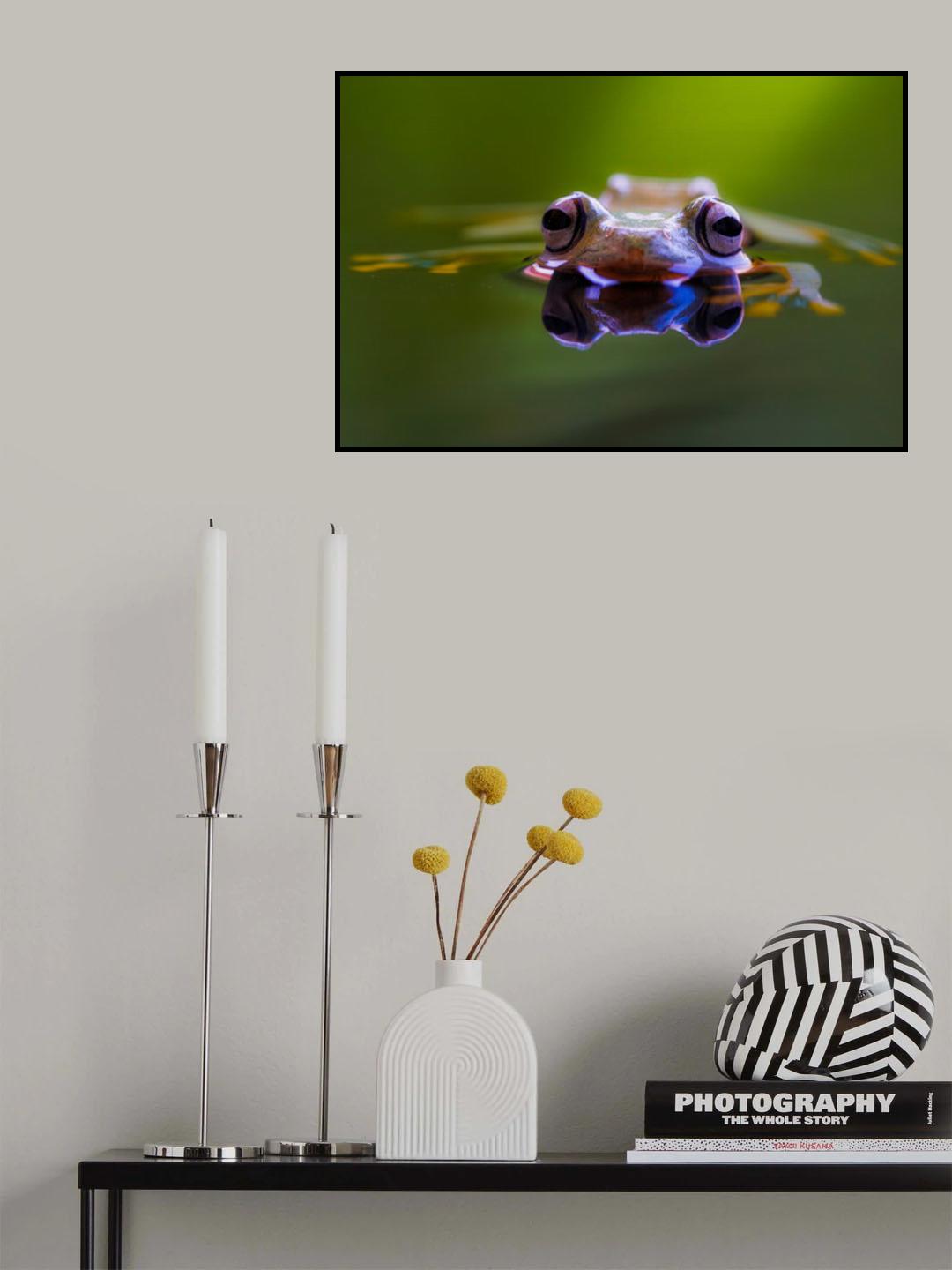 Wallace Flying Frog Poster och Canvastavla