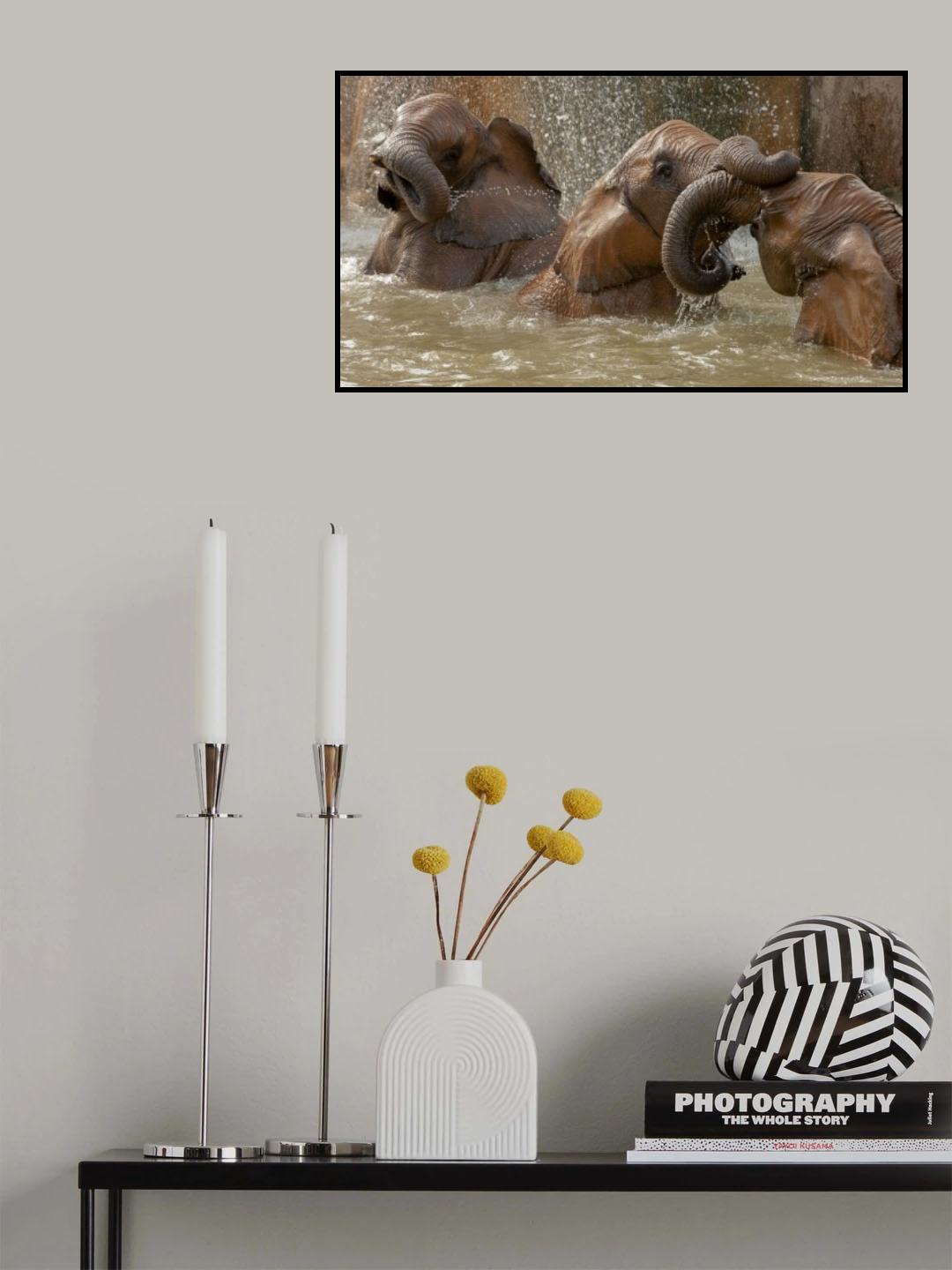 Bath time play Poster och Canvastavla