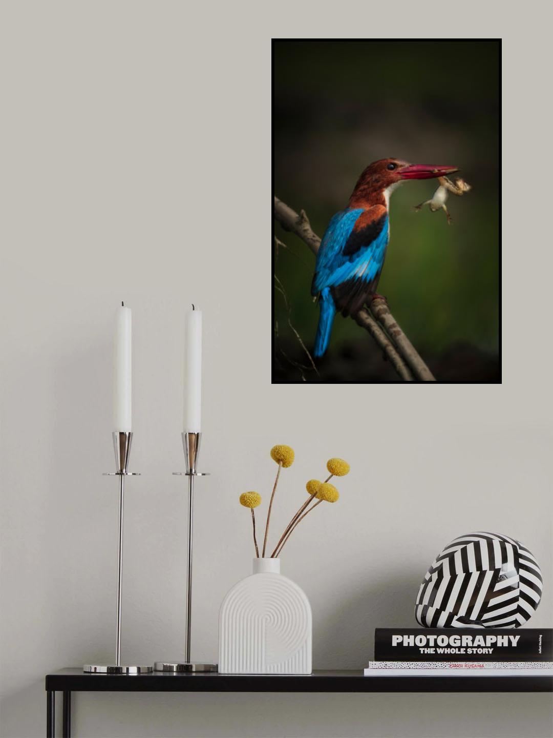 Kingfisher Eating Frog Poster och Canvastavla