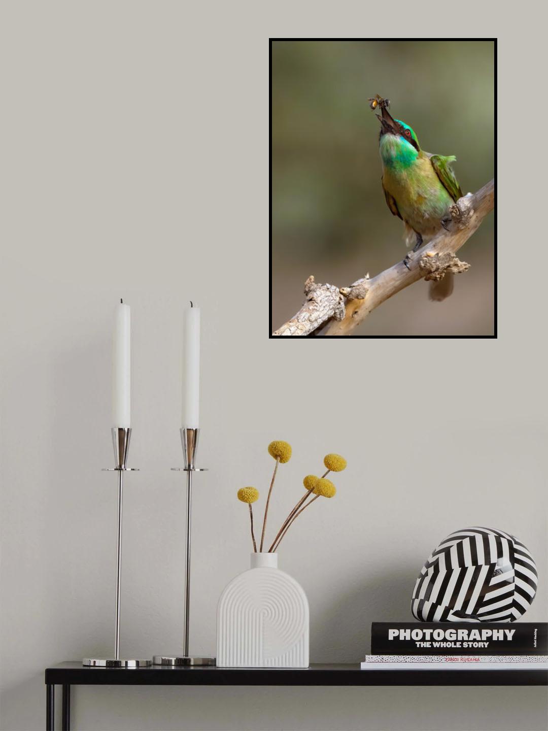ARABIAN BEE EATER Poster och Canvastavla