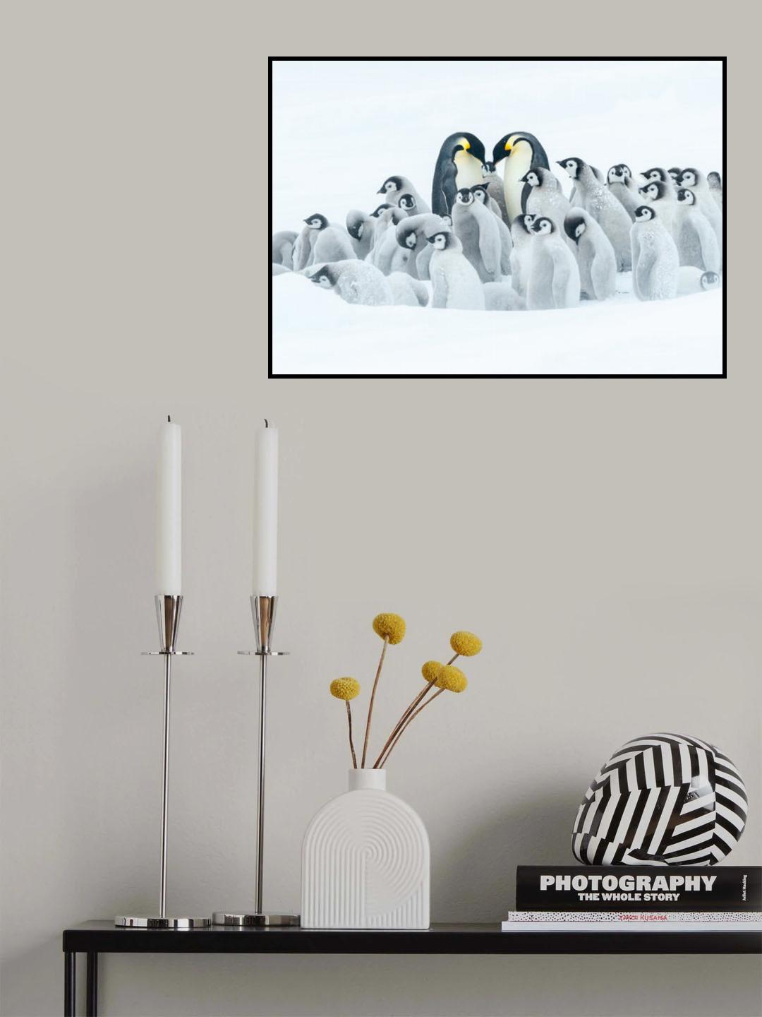 WE ARE A BIG FAMILY Poster och Canvastavla